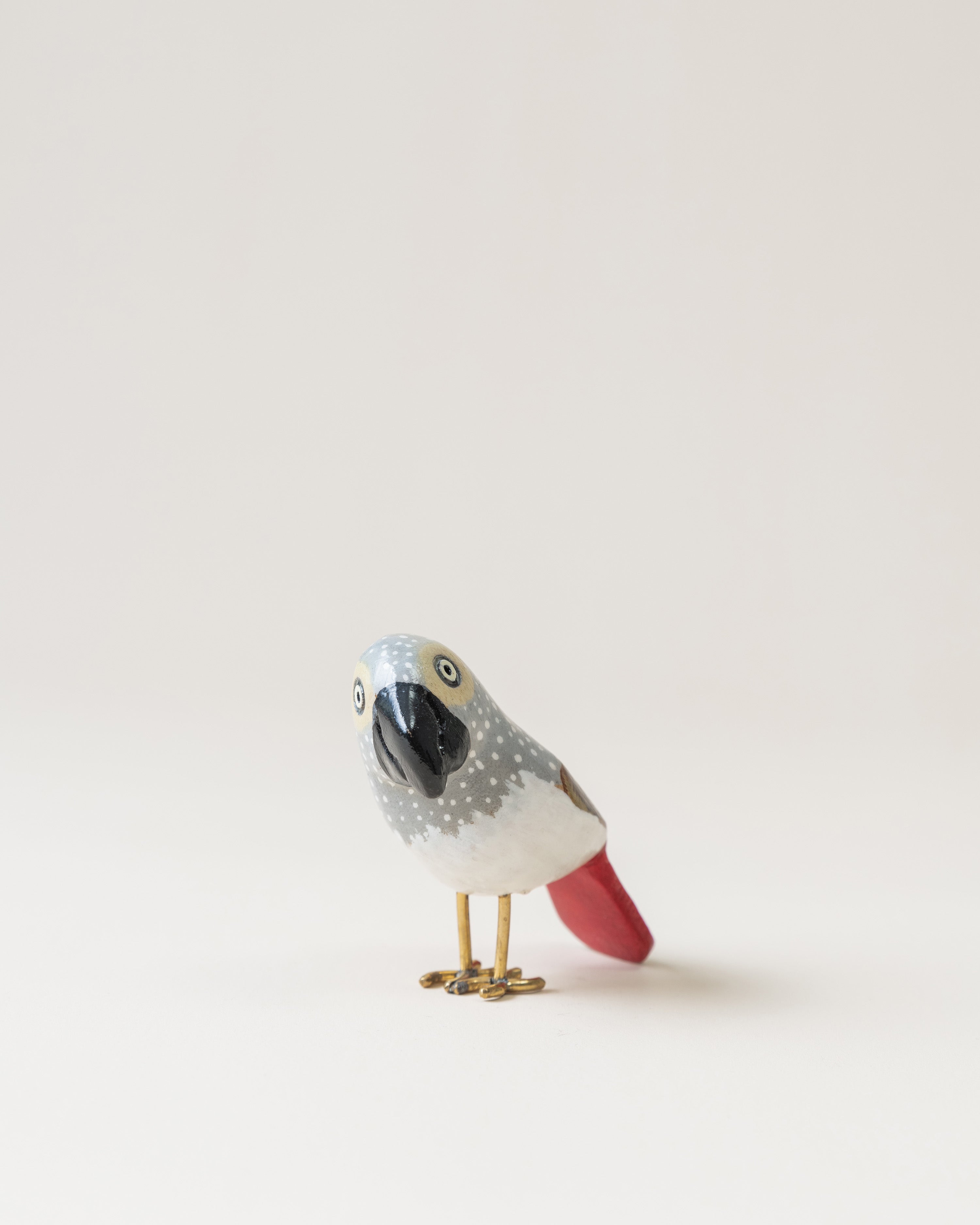 Grey Parrot