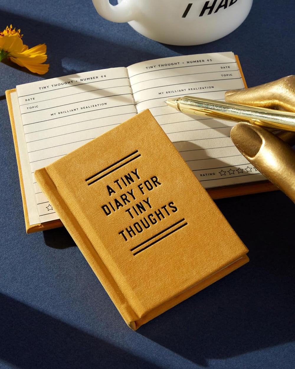 A Tiny Diary for Tiny Thoughts
