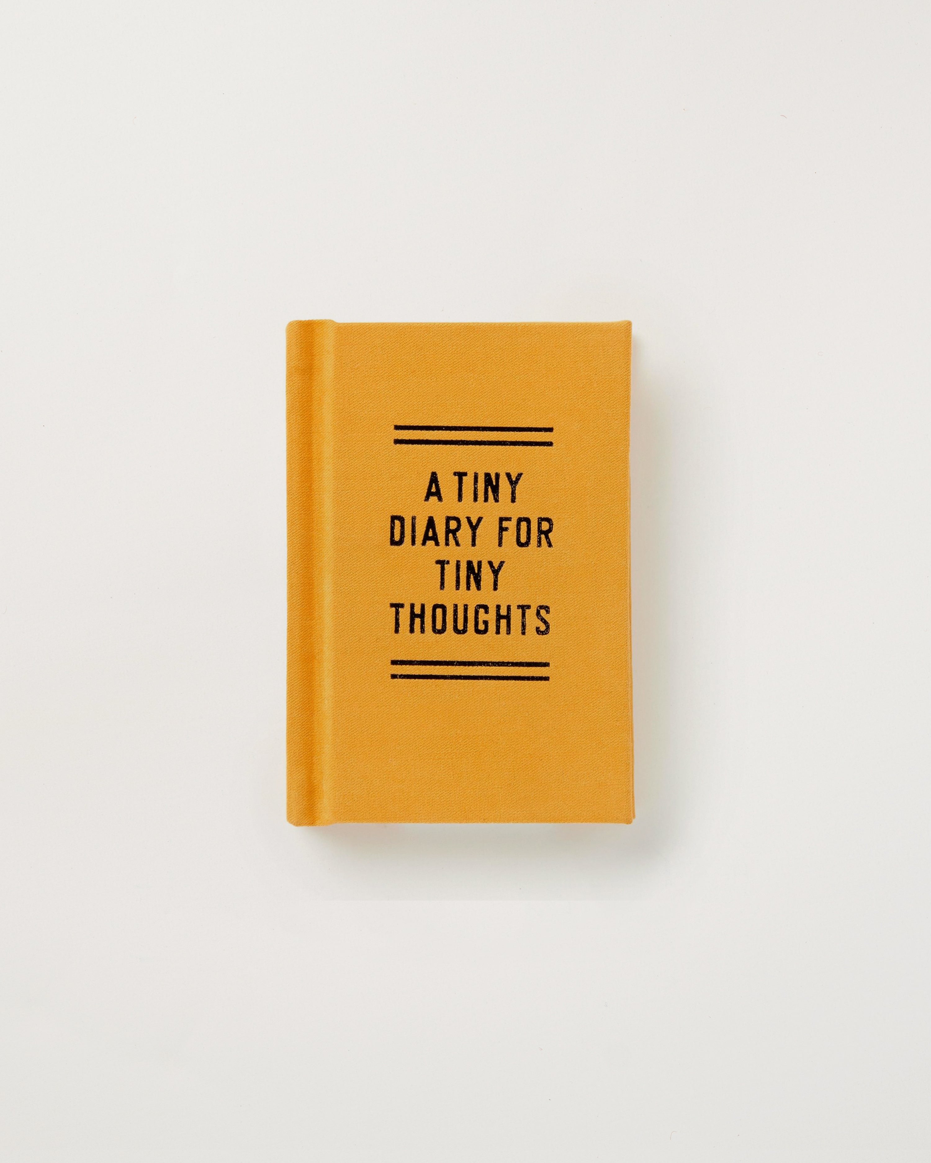 A Tiny Diary for Tiny Thoughts