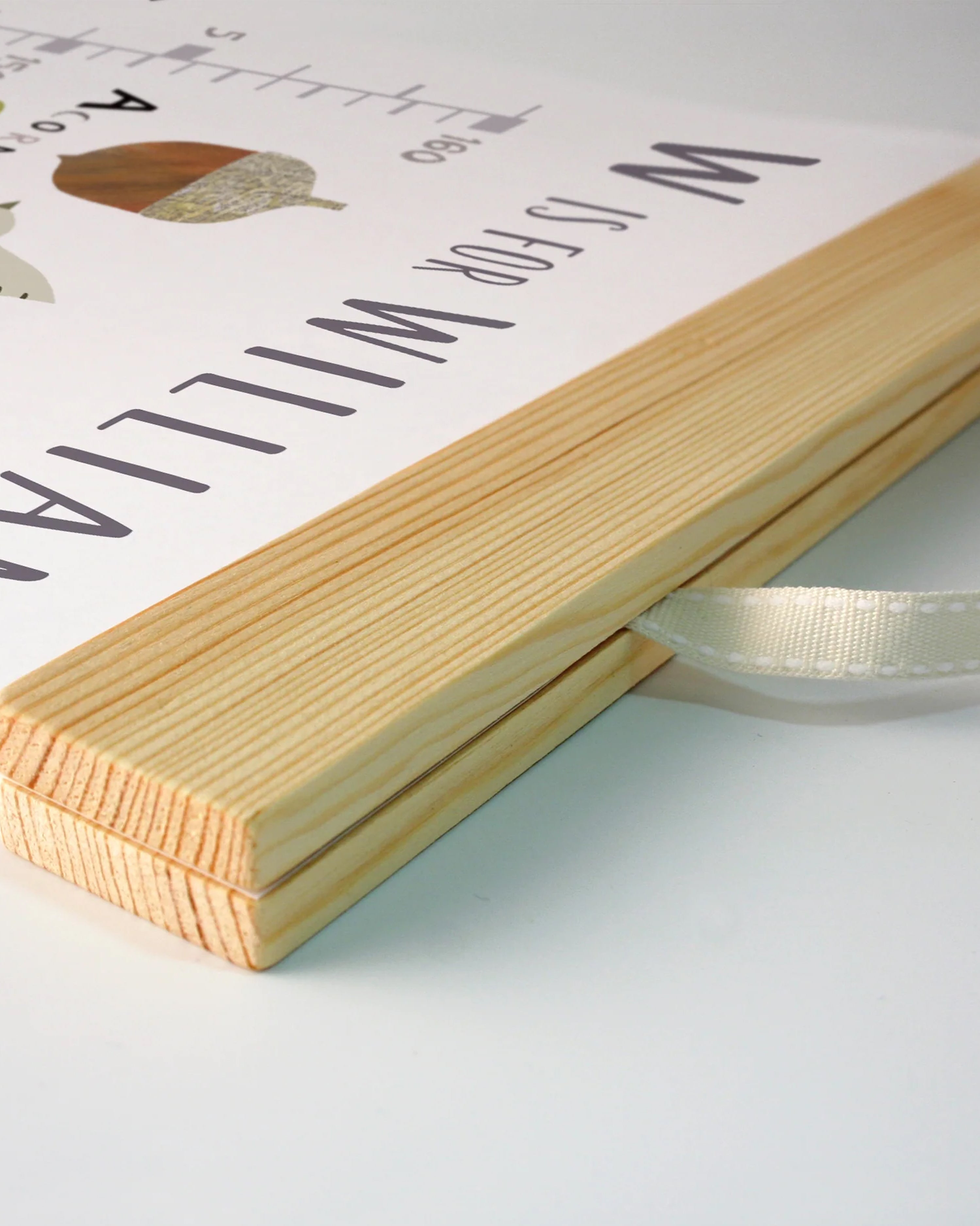 Alphabet Canvas and Wood Height Chart