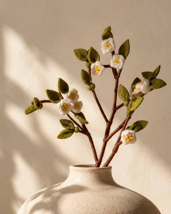 Apple Branch