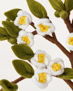 Apple Branch