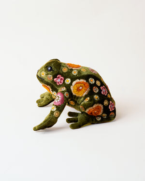 Beauty Grass Green Frog