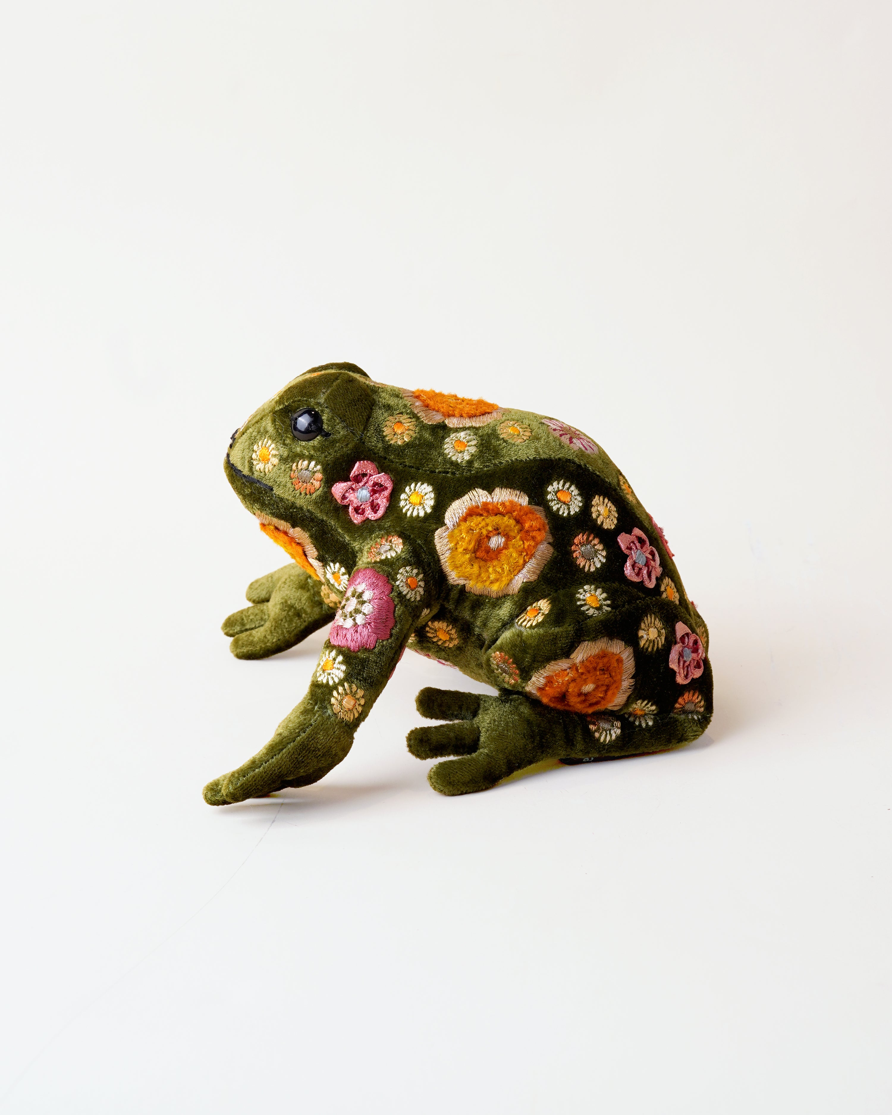 Beauty Grass Green Frog