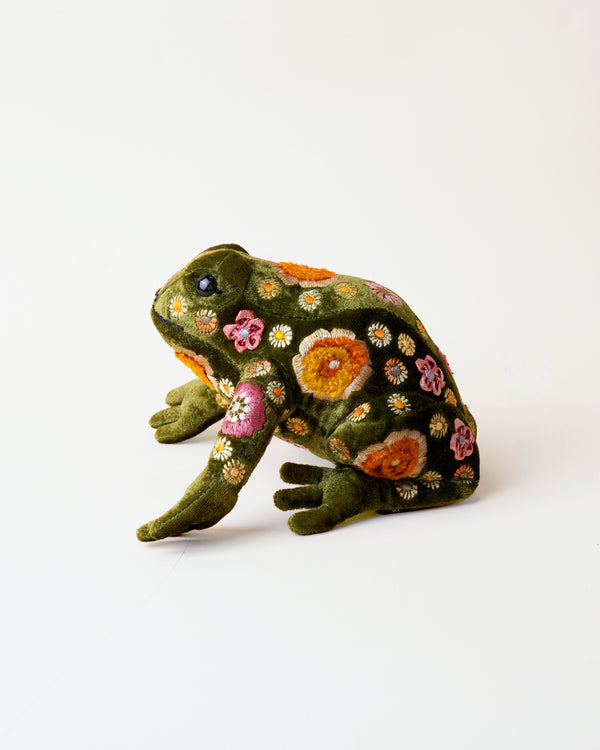 Beauty Grass Green Frog