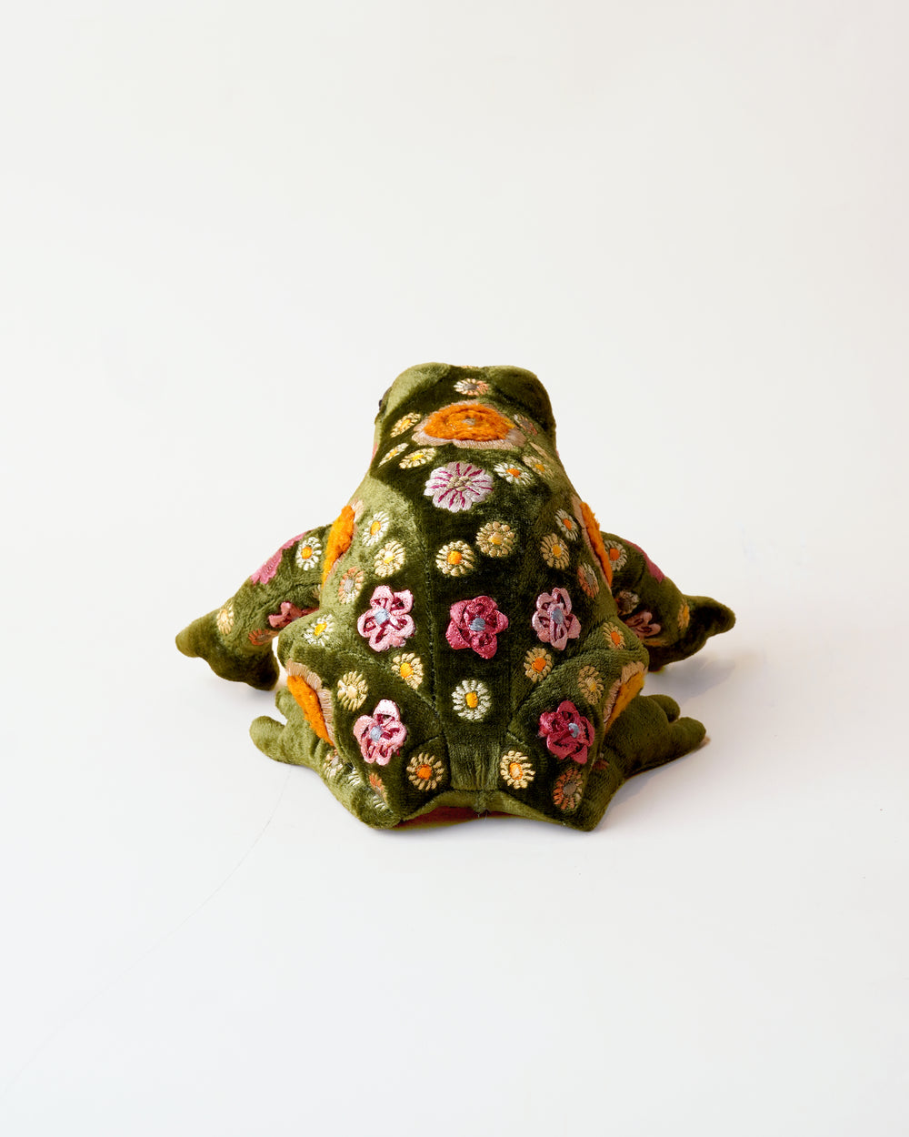 Beauty Grass Green Frog