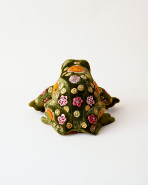 Beauty Grass Green Frog