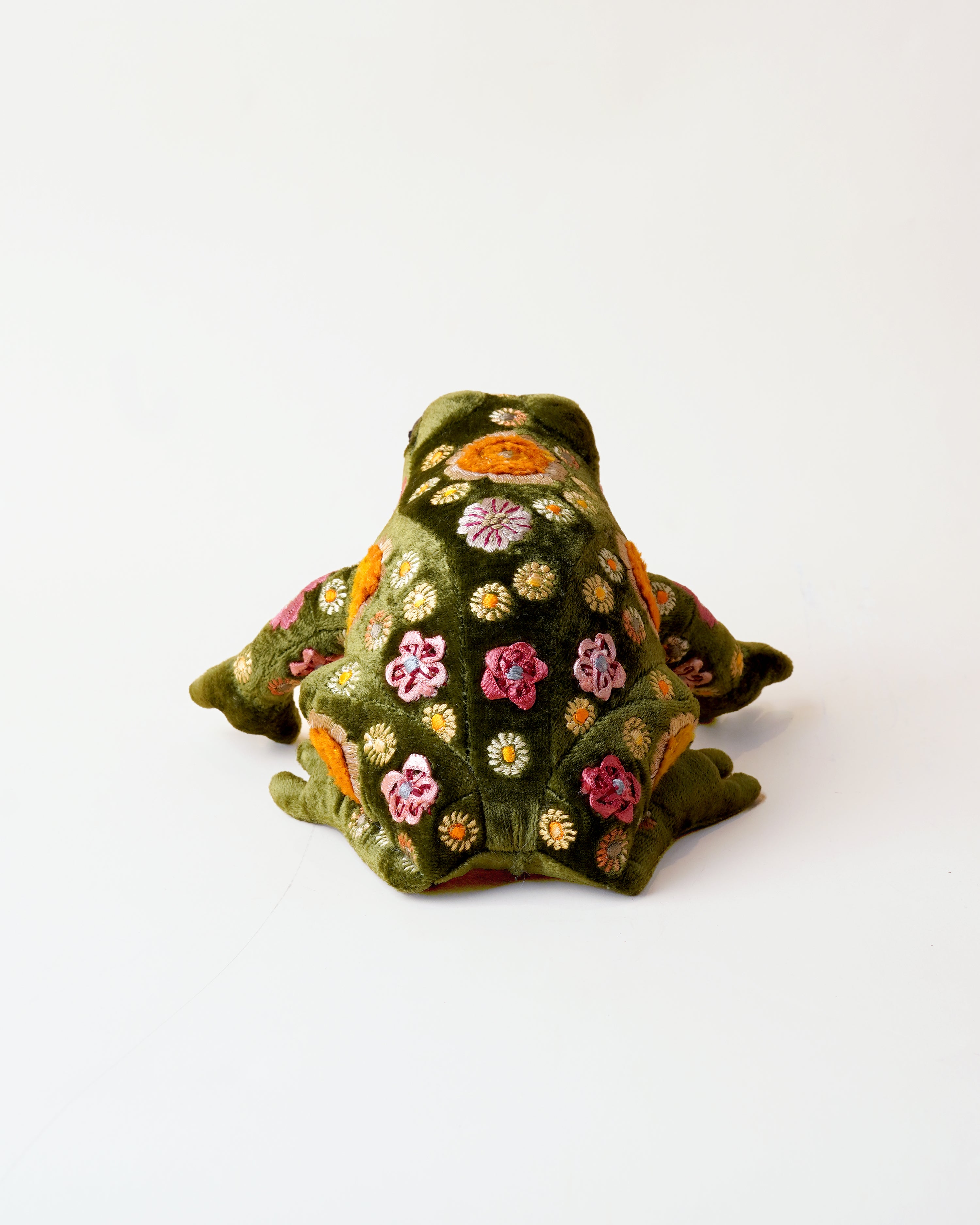 Beauty Grass Green Frog