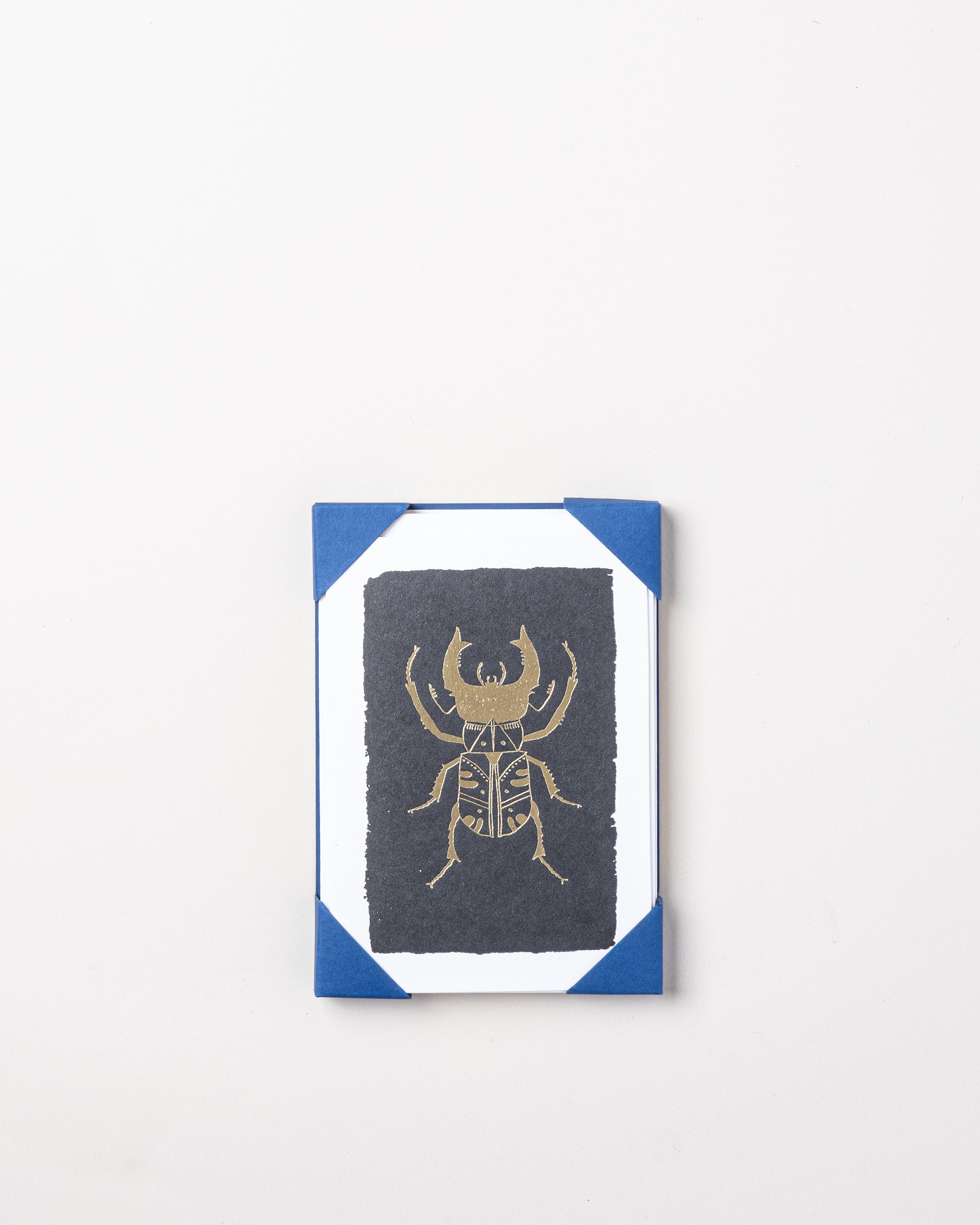 Black Insect Card Set
