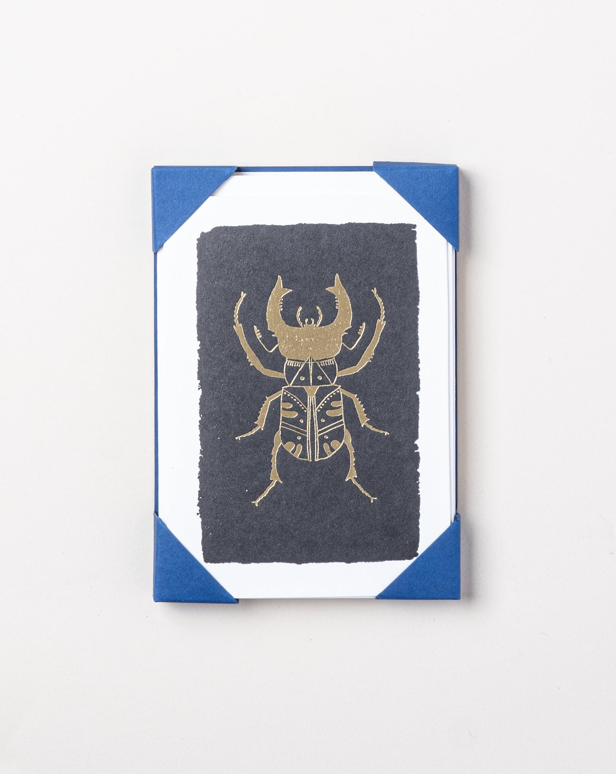 Card Pointed Insects Black Insect Card Set