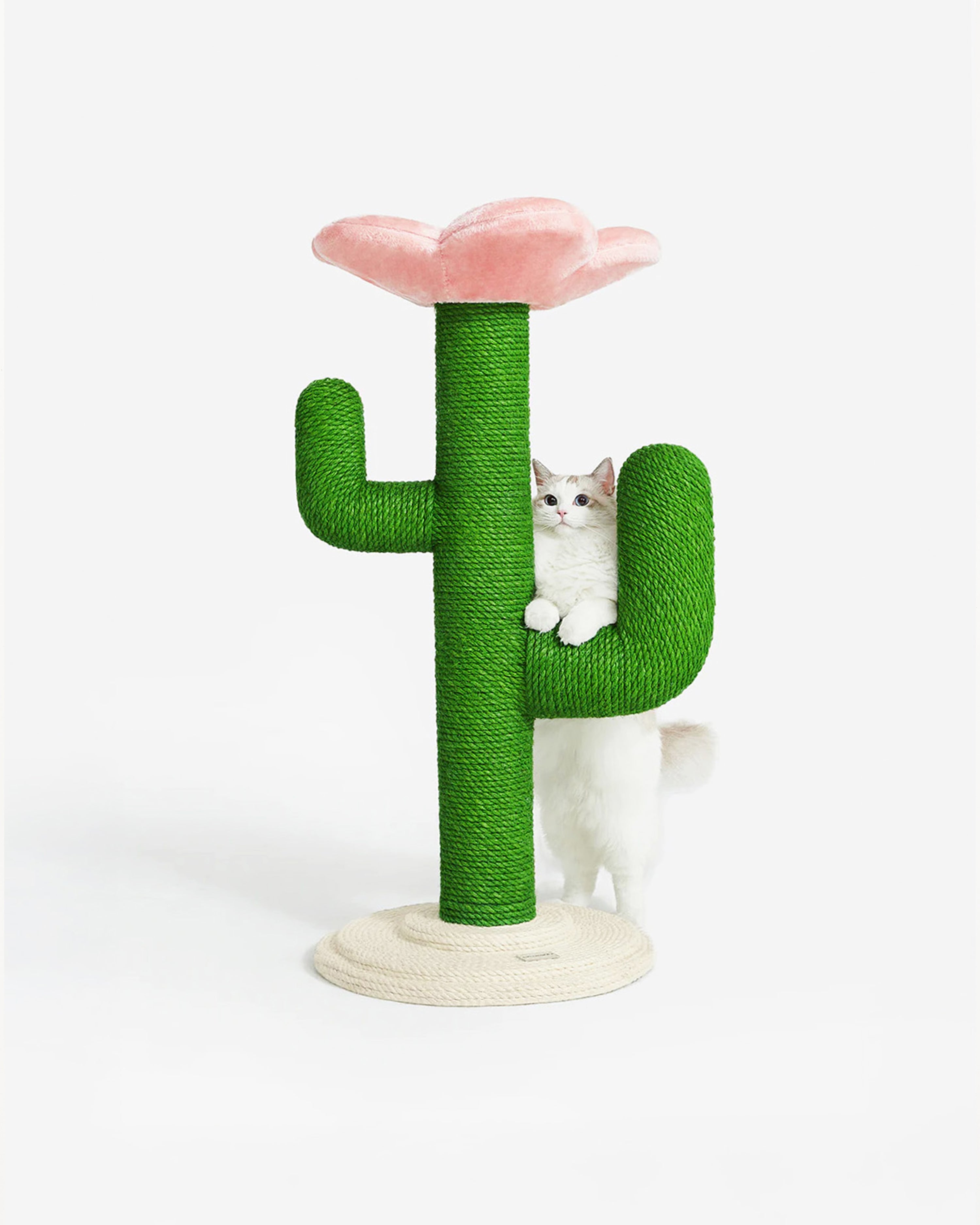 Blooming Cactus Cat Tree