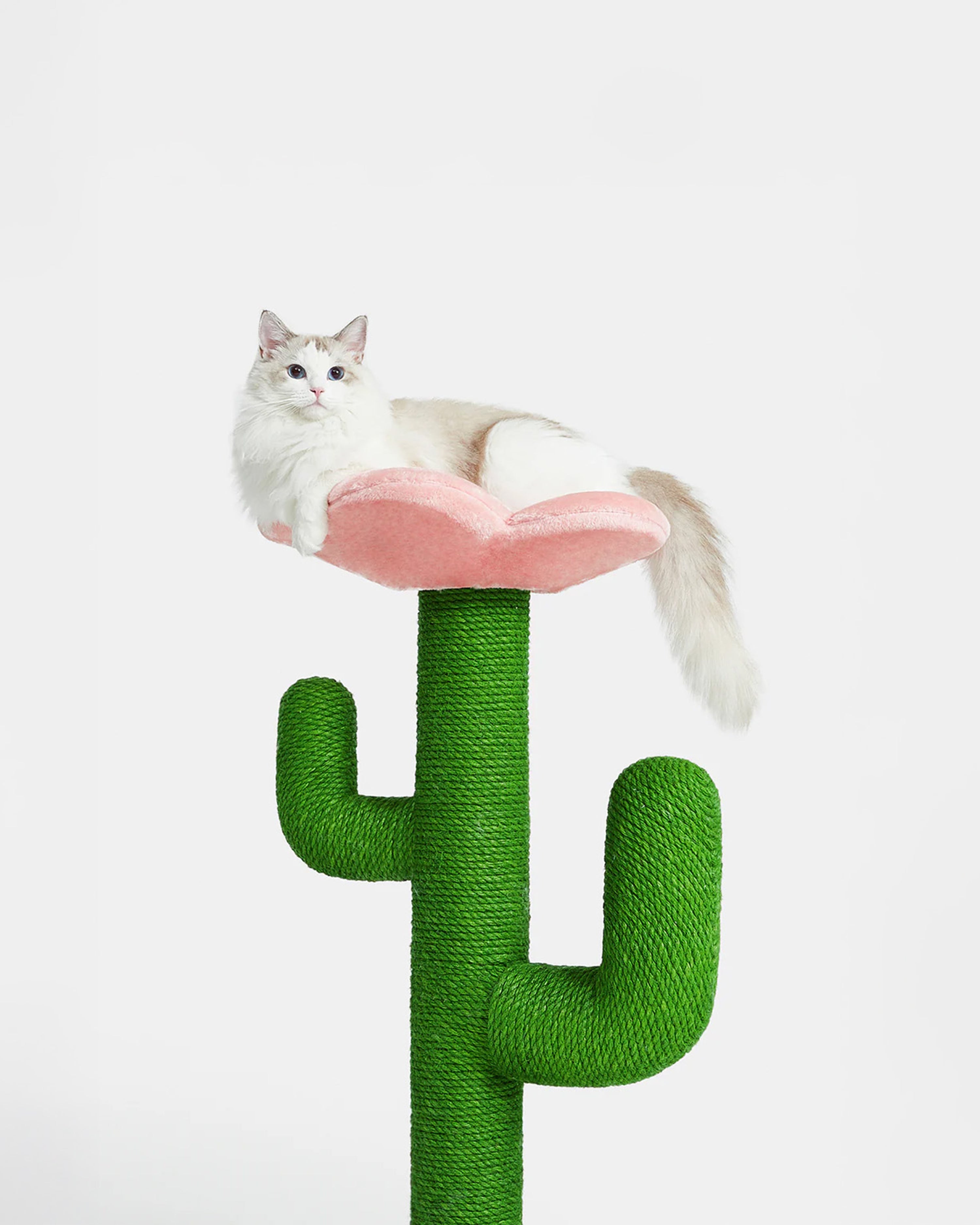 Blooming Cactus Cat Tree