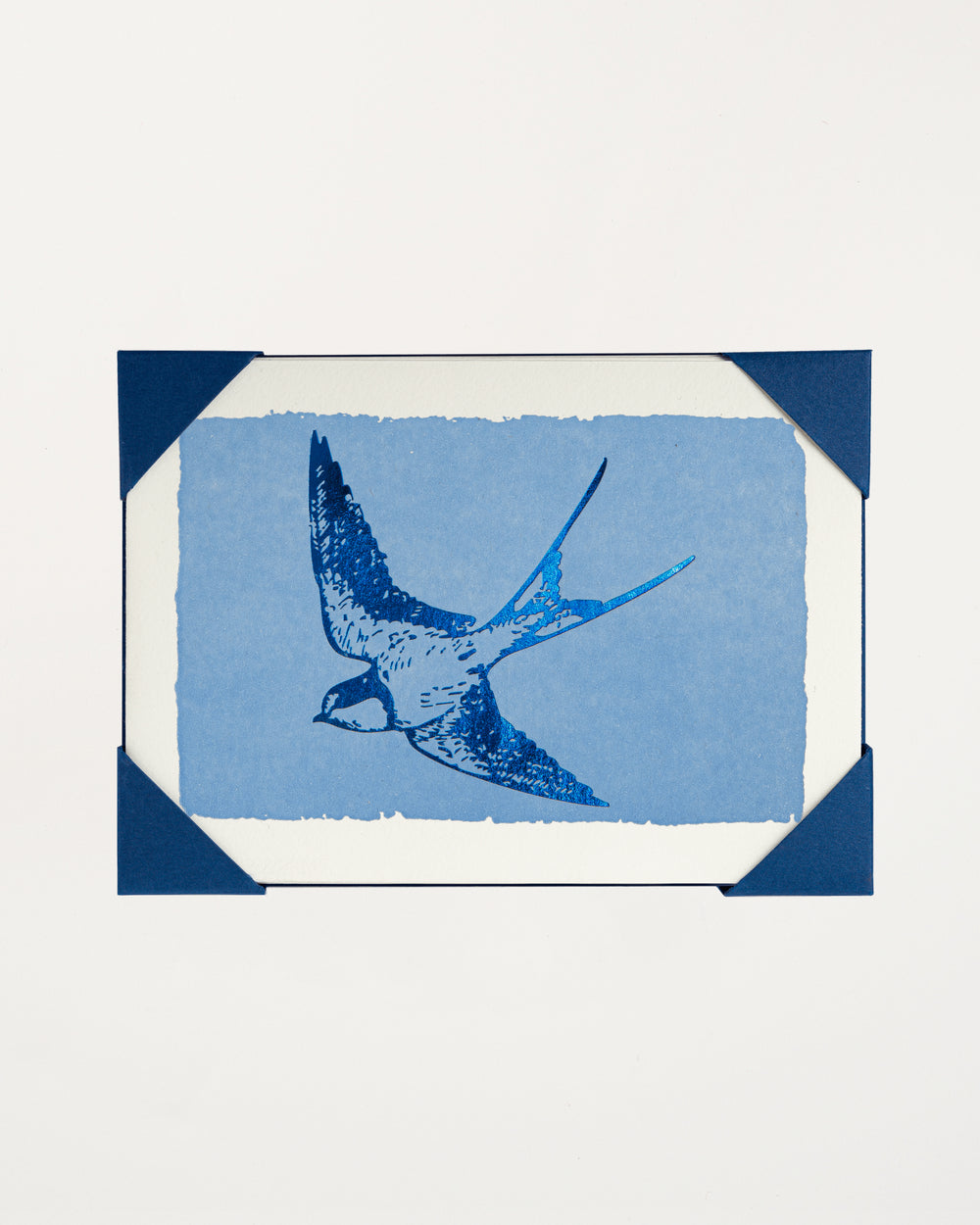 Blue Foil Swallow Card Set