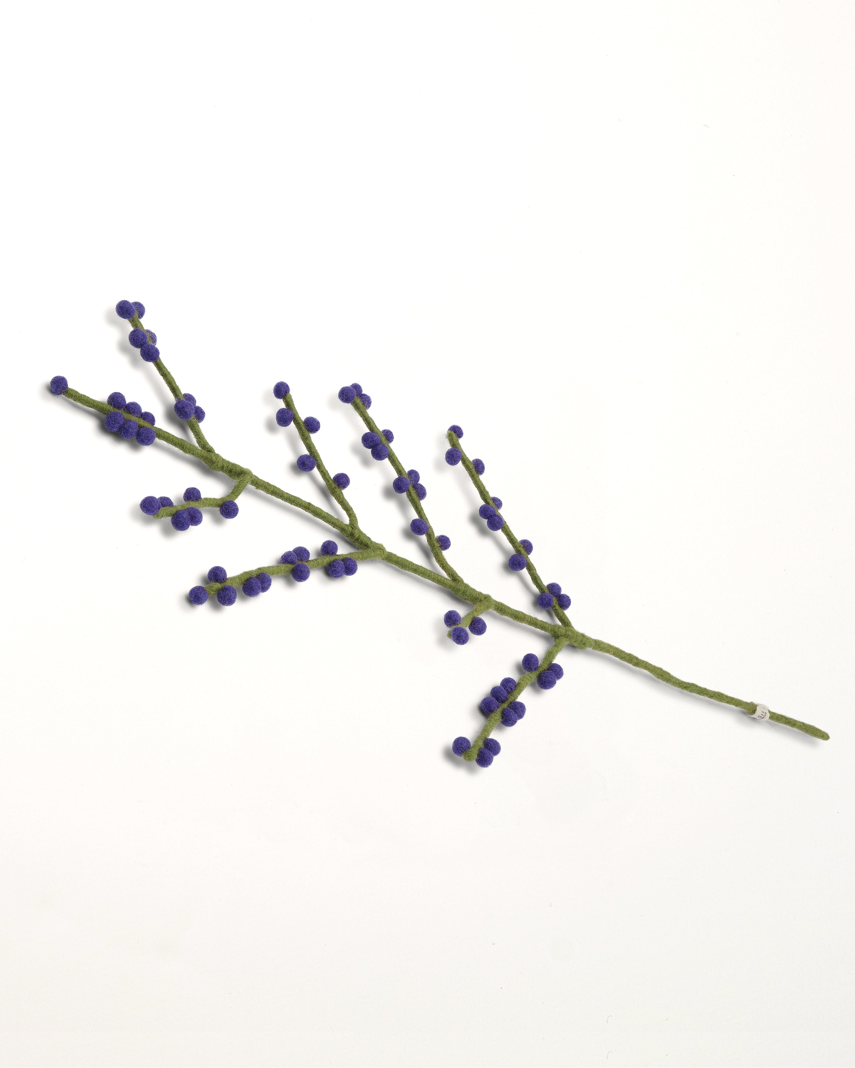 Branch Blue Berries