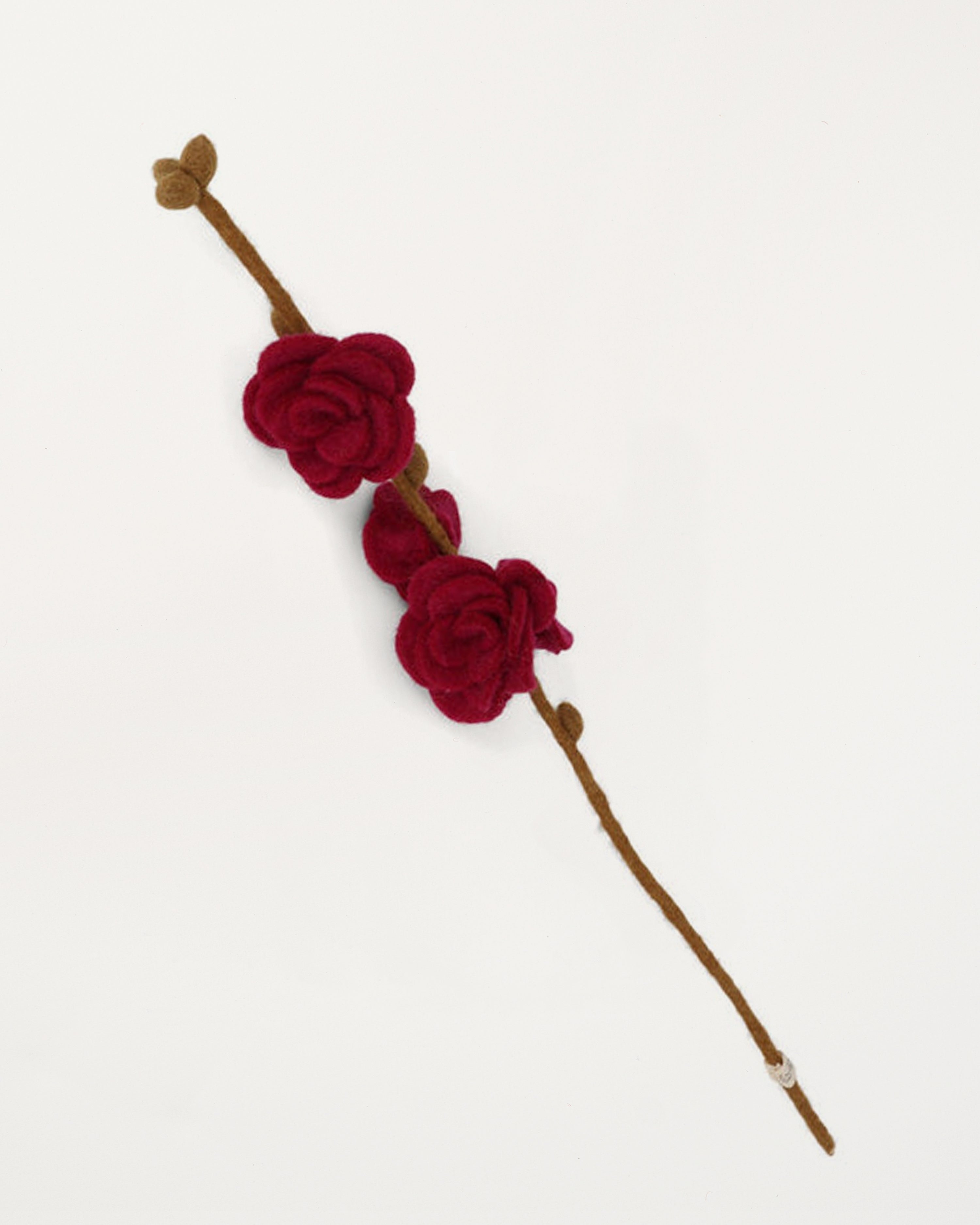 Branch Cherise Roses