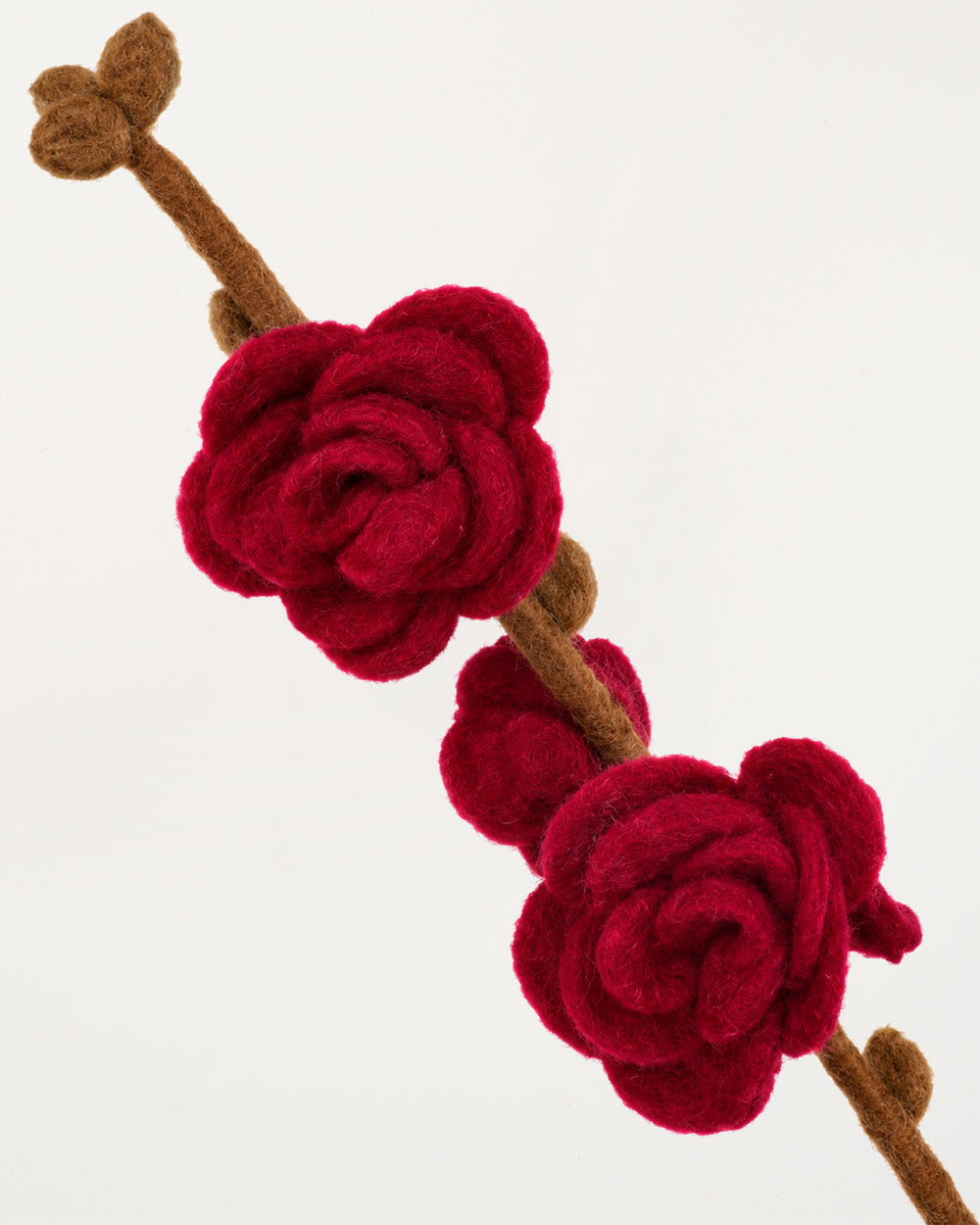 Branch Cherise Roses