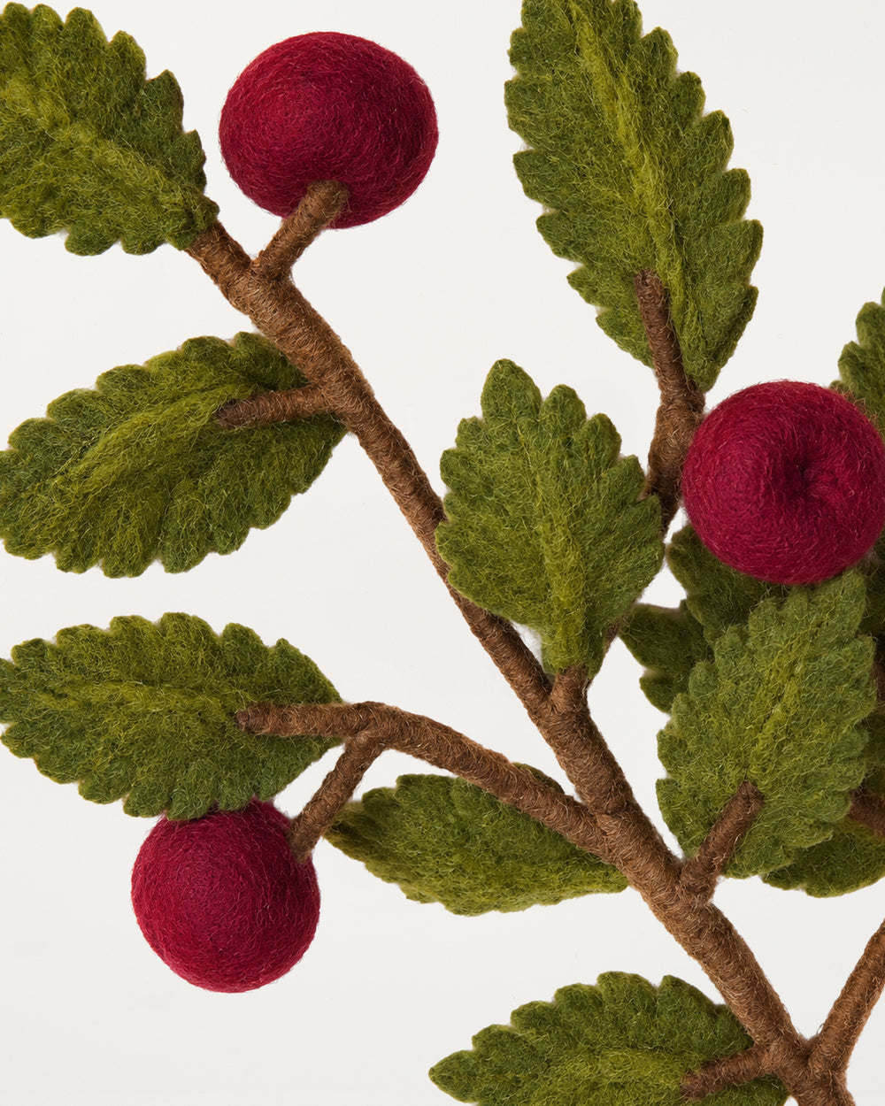 Branch Dark Red Apples