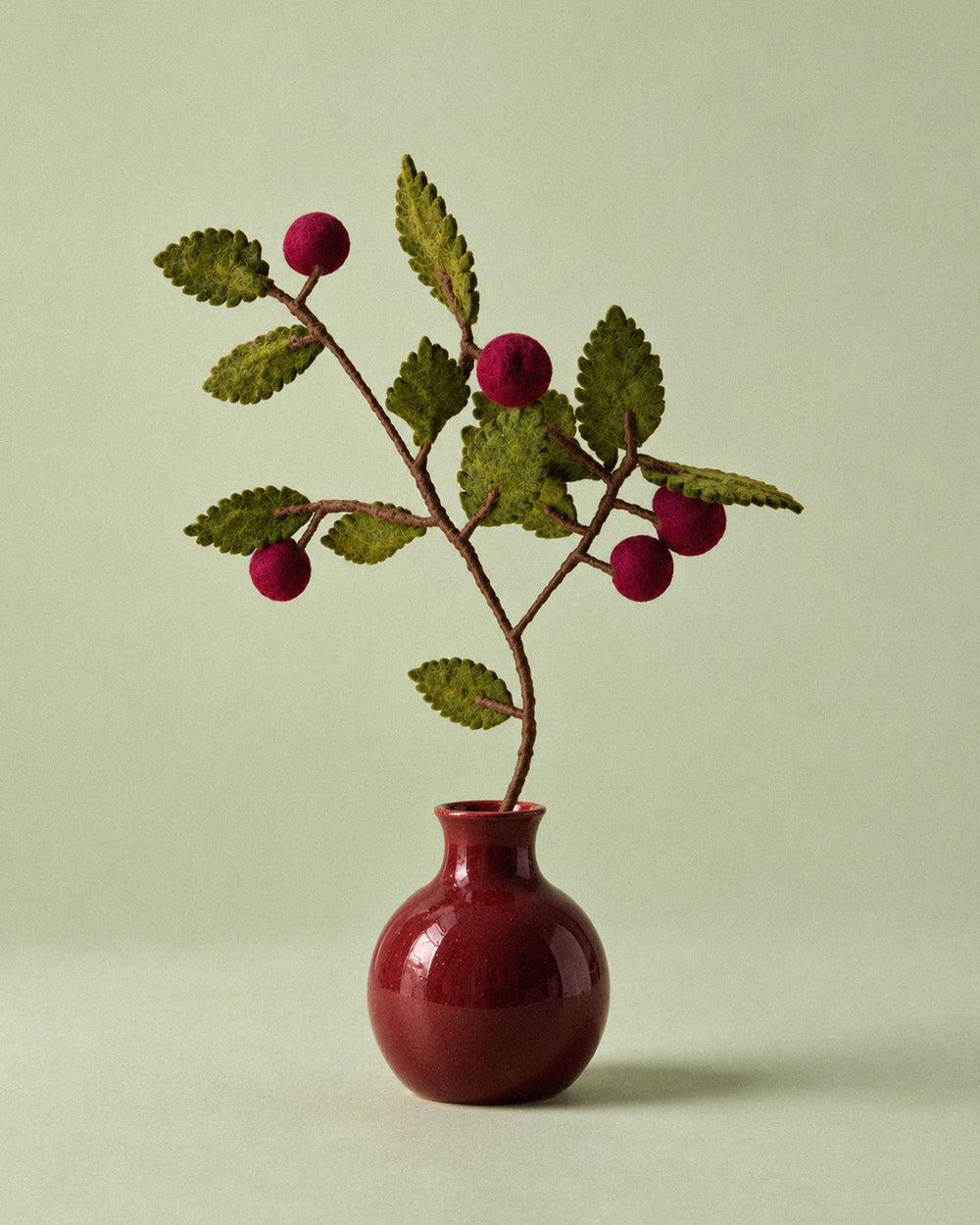 Branch Dark Red Apples