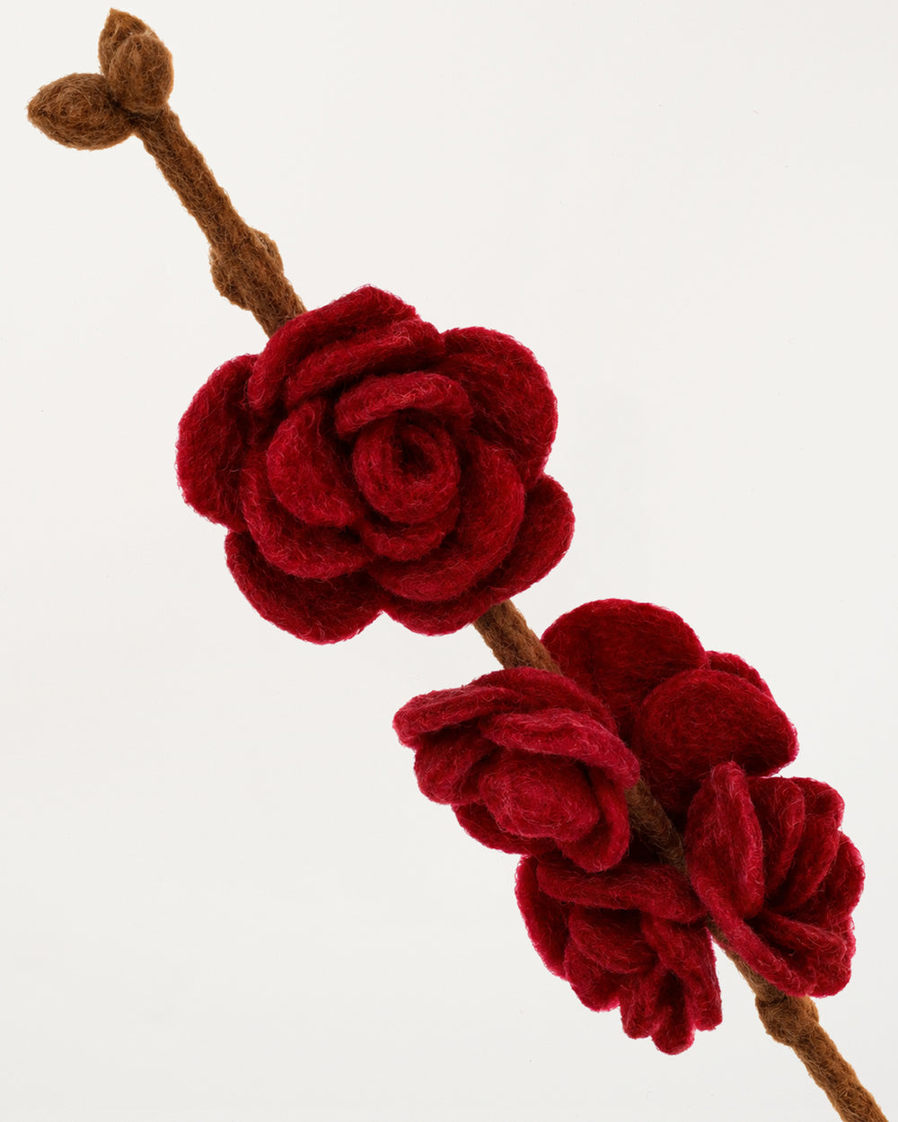Branch Dark Red Roses
