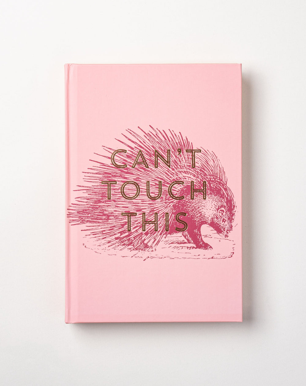 Can't Touch This Notebook