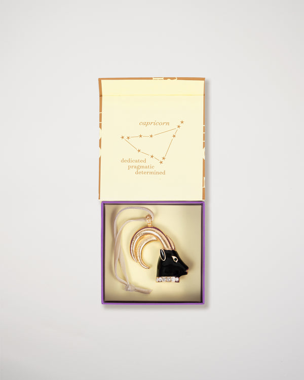 Capricorn Hanging Ornament