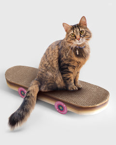 Cat Scratch Skateboard