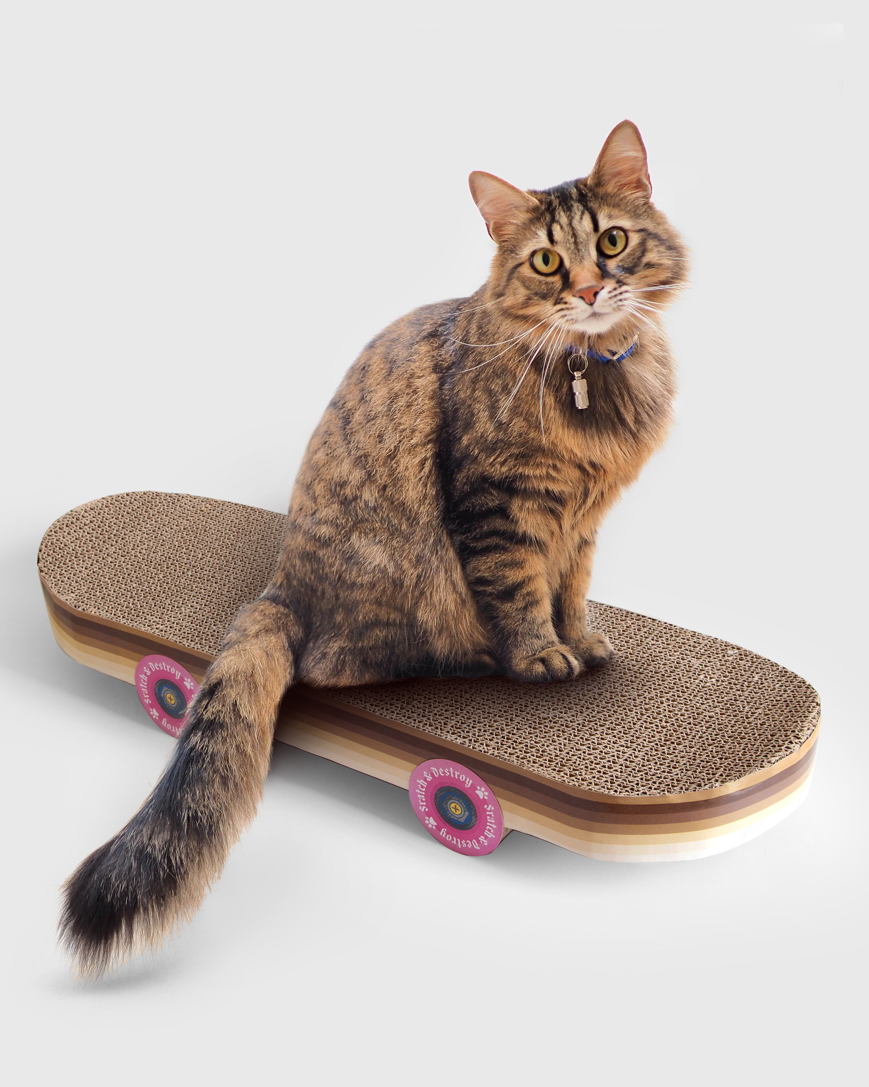 Cat Scratch Skateboard