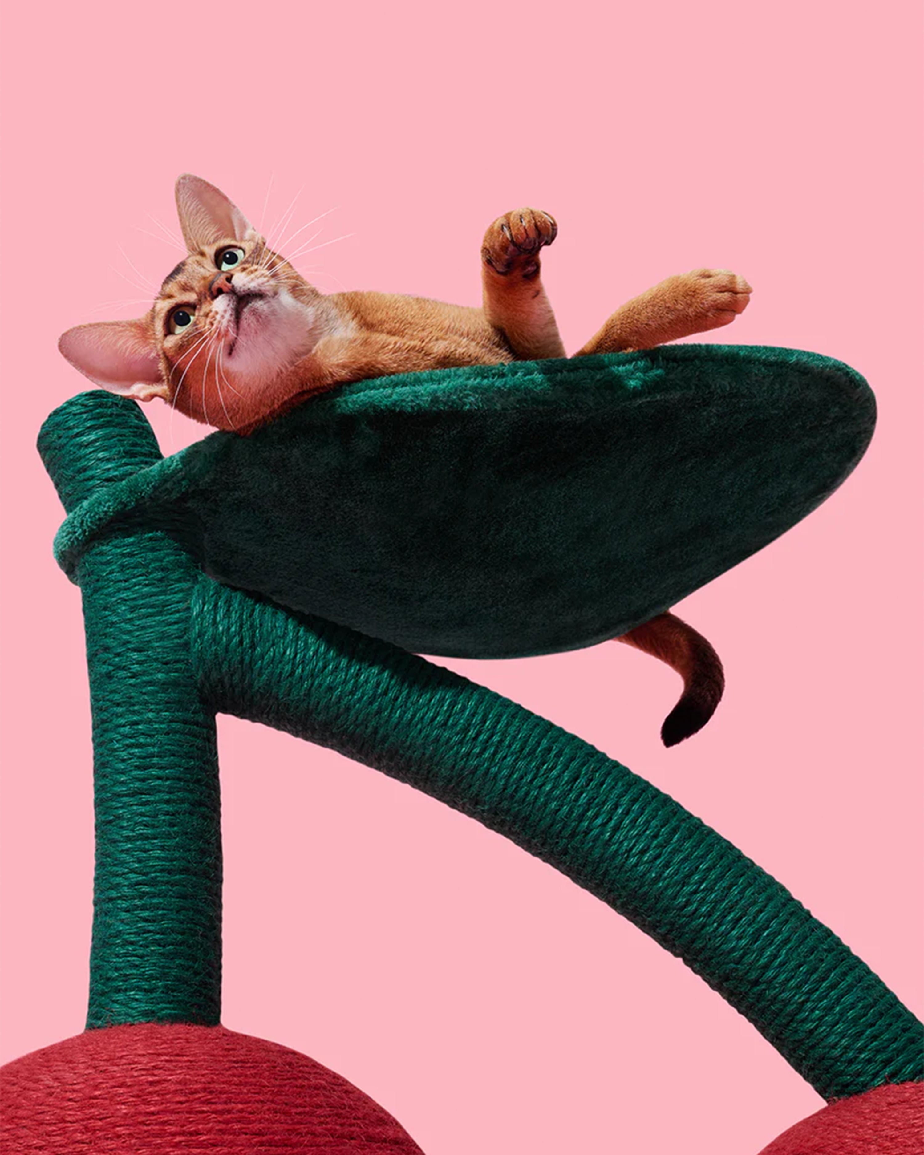 Cherry Cat Tree