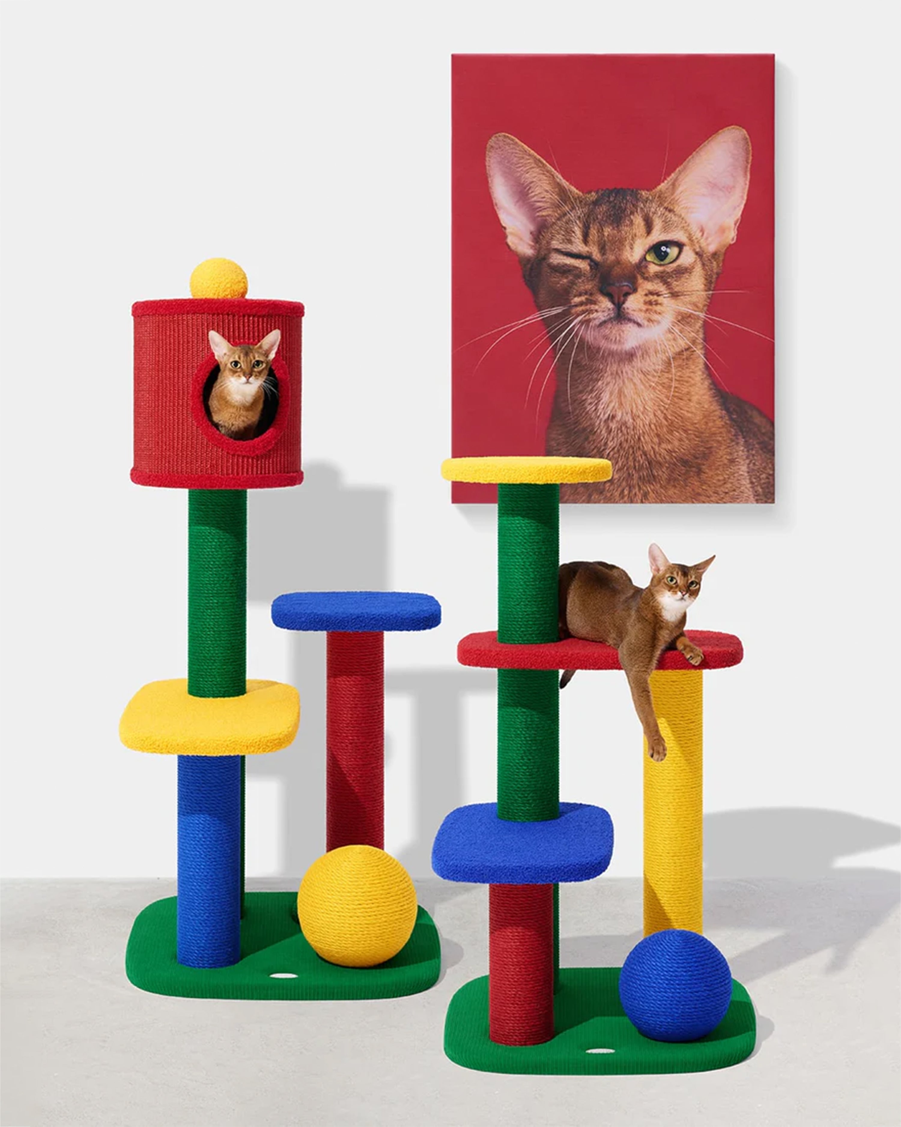 Chroma Cat Climber Open Platform