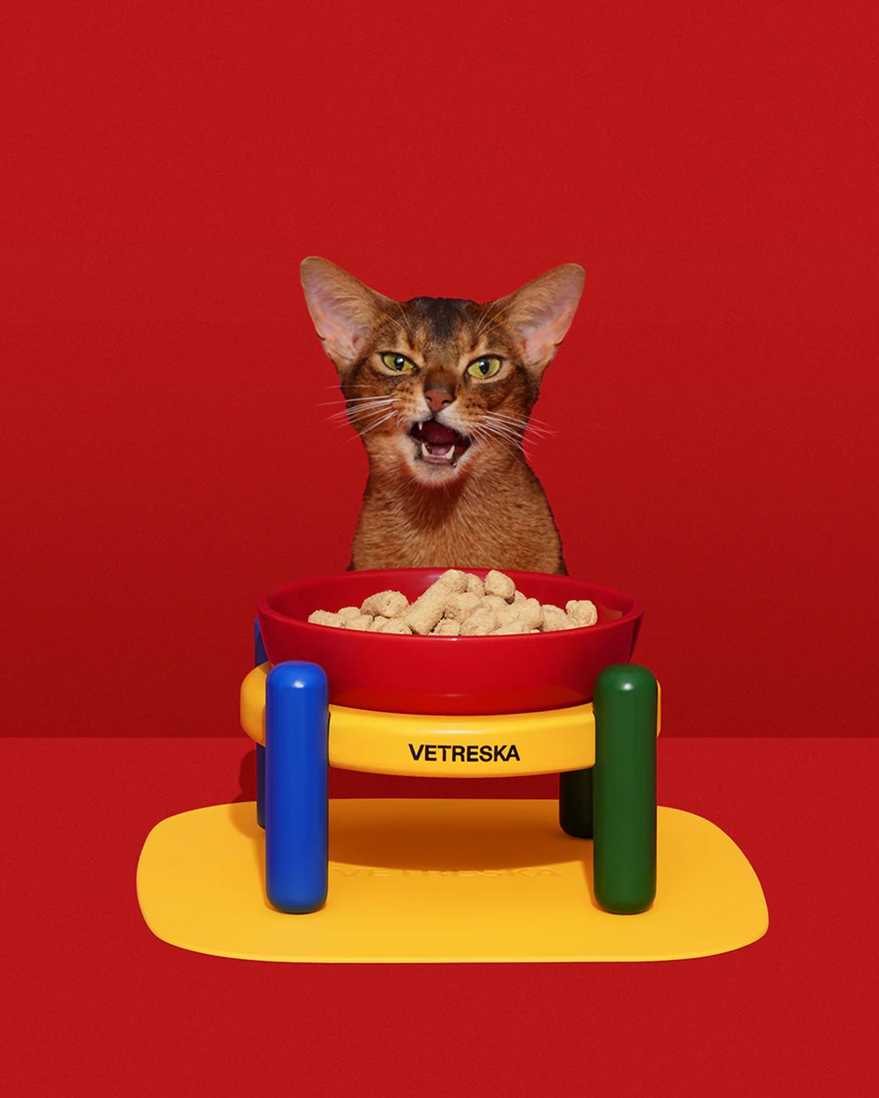 Chroma Ceramic Pet Bowl & Mat Set (M)
