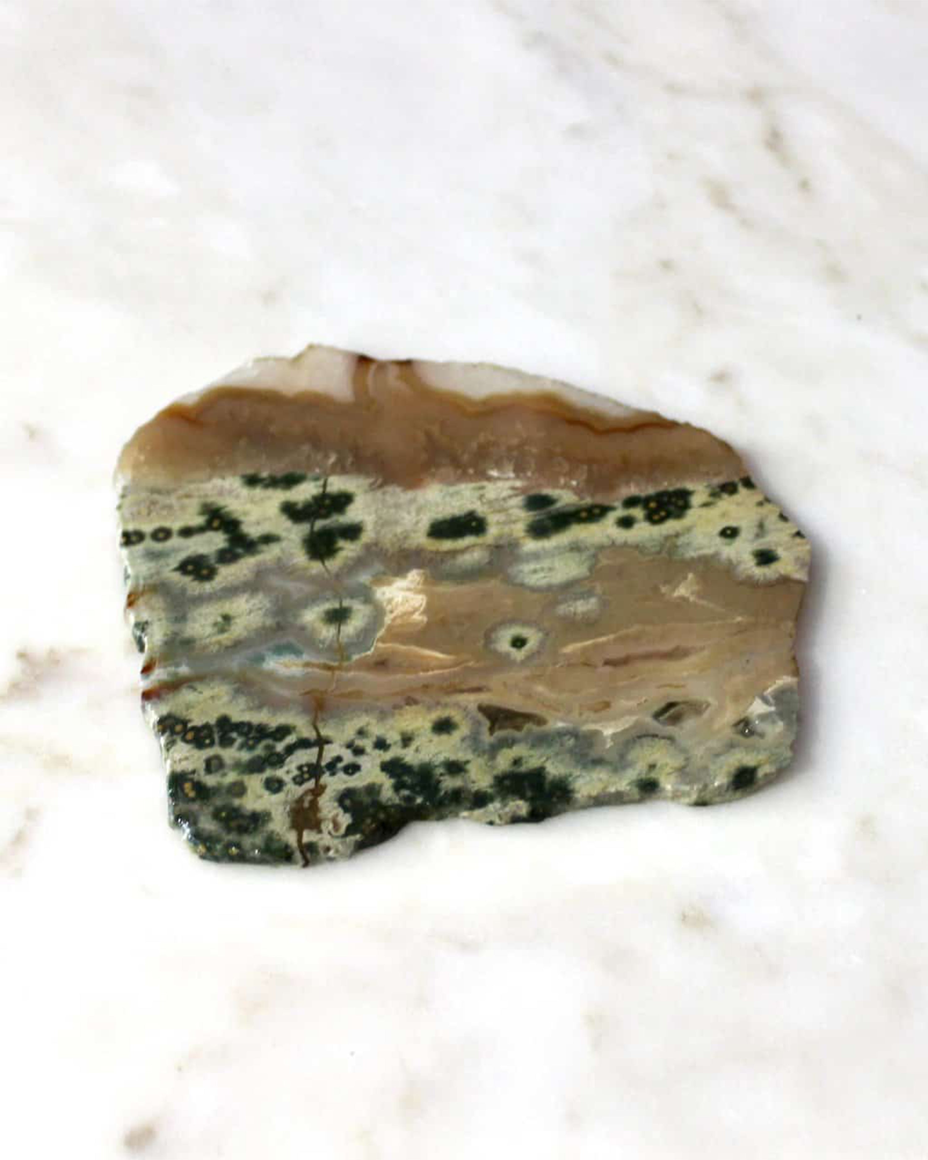 Large Ocean Jasper