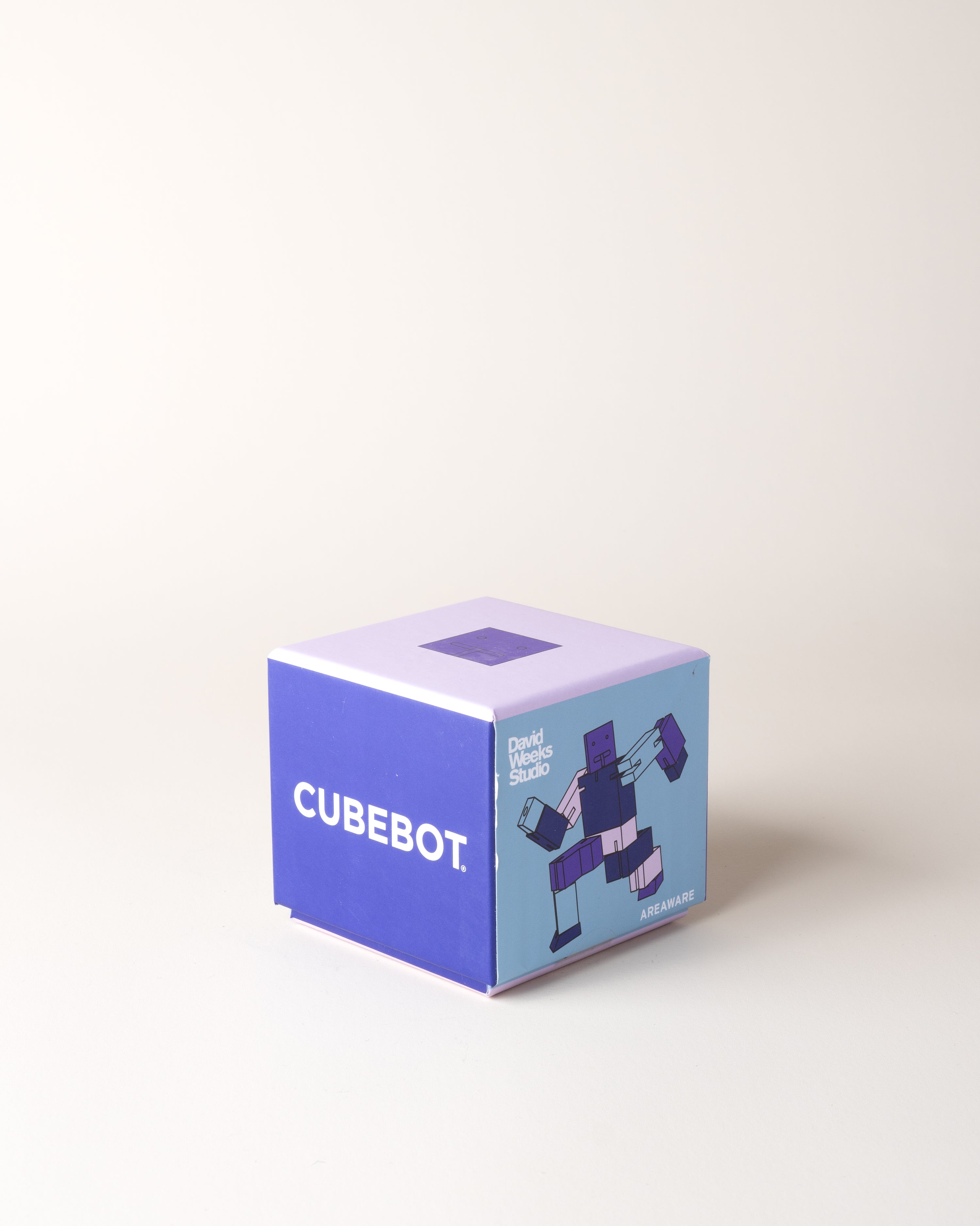 Cubebot Purple Multi Small