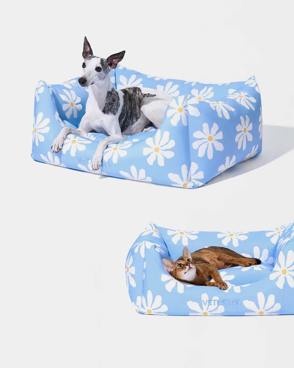 Daisy Pet Sofa