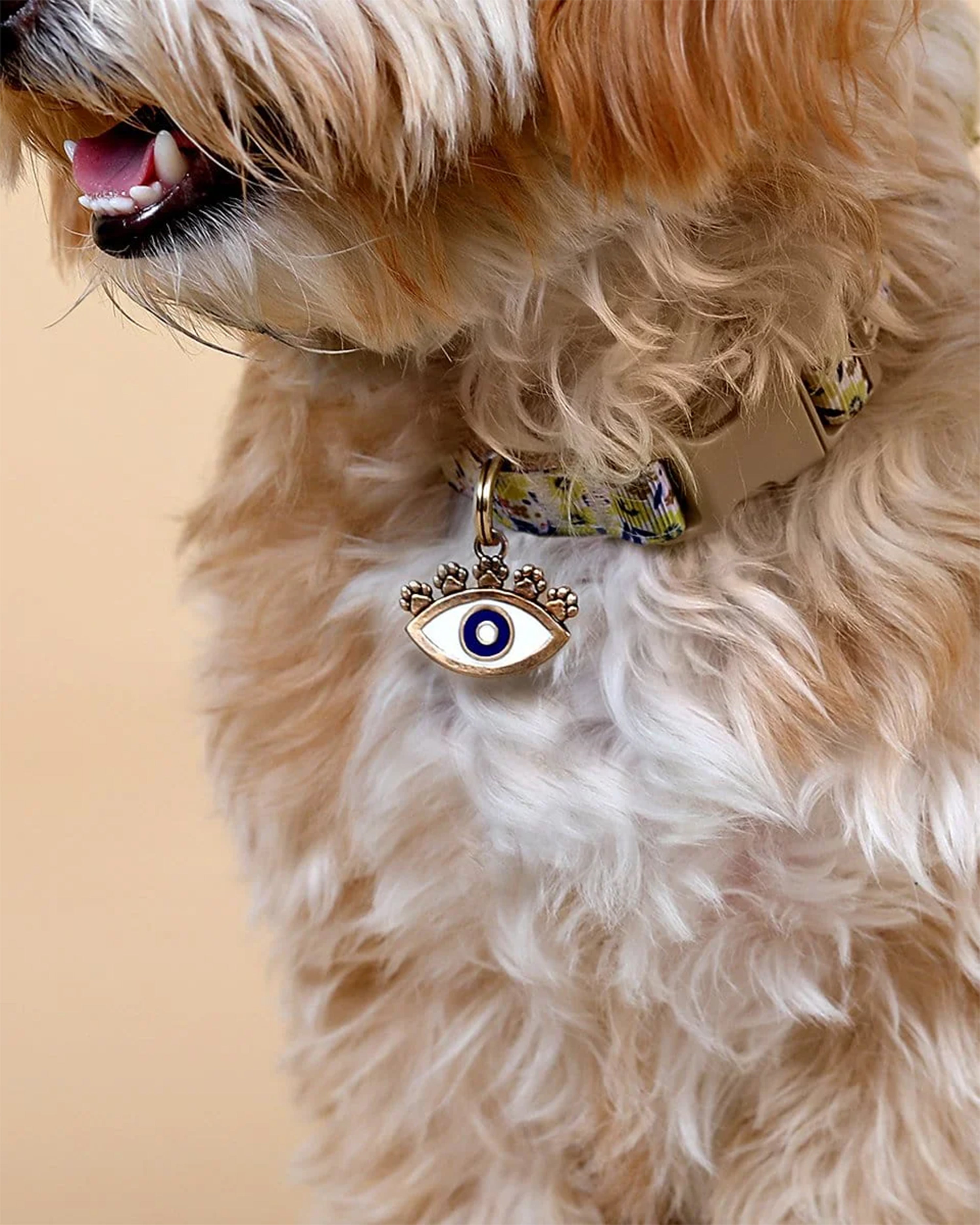 Devoted Care Evil Eye Pet Tag