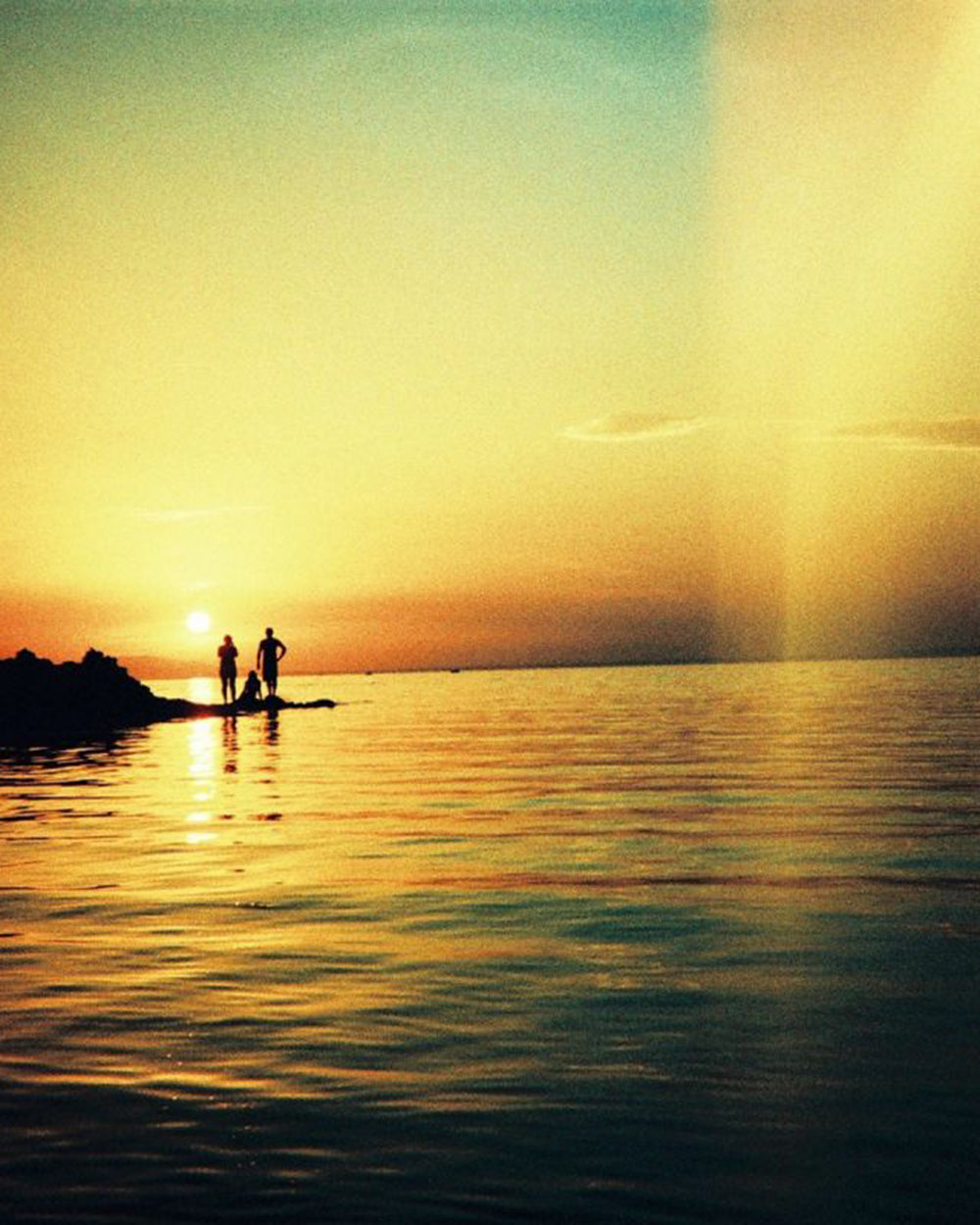 Diana F+ Camera & Flash CMYK
