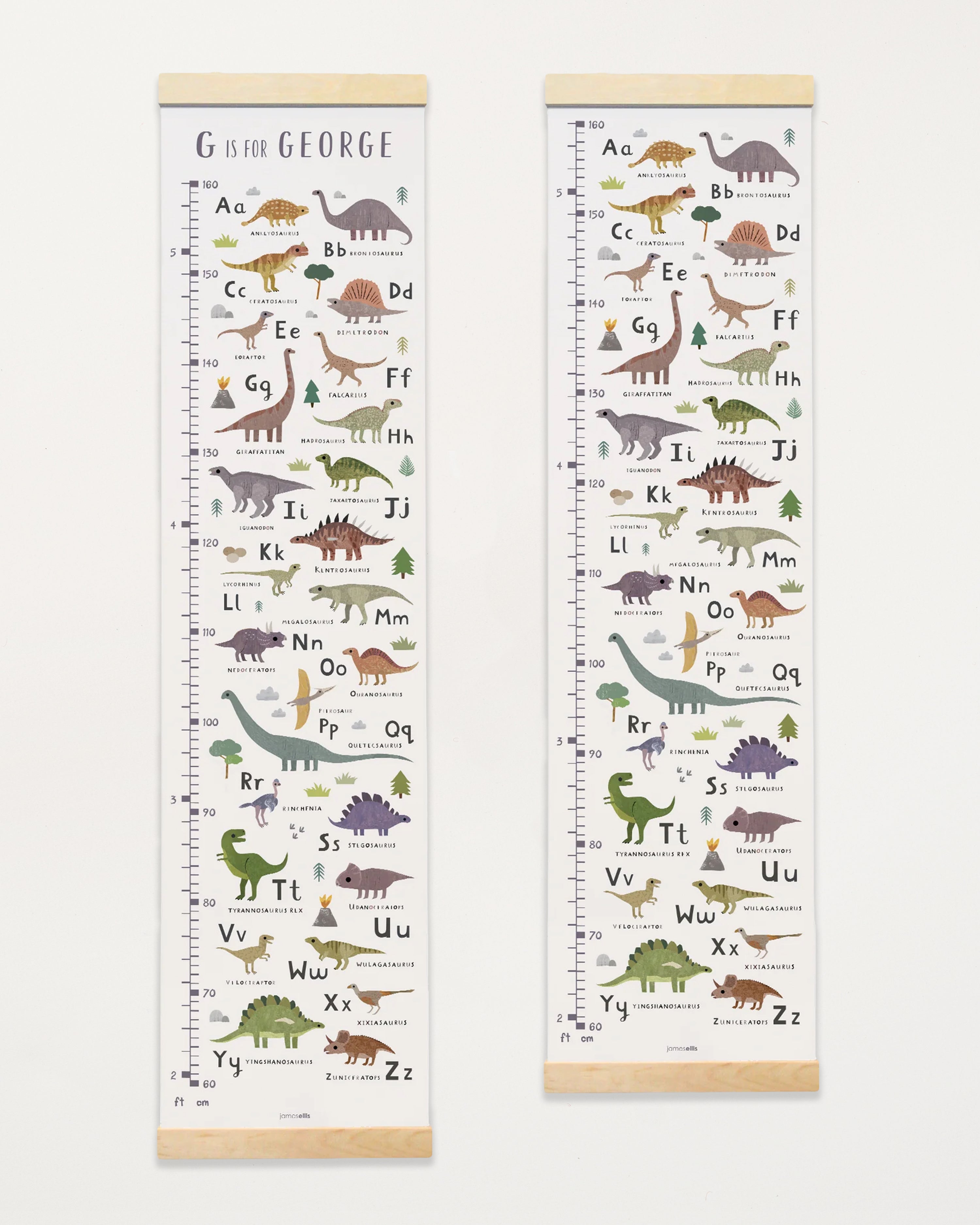Dinosaur Alphabet Canvas and Wood Height Chart
