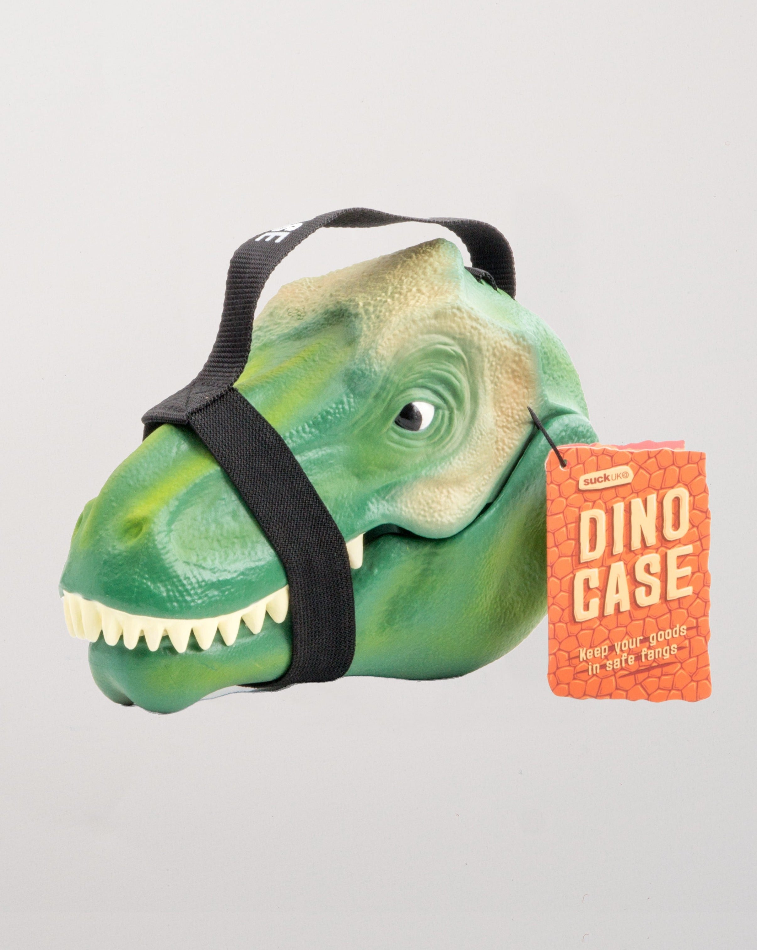 Dinosaur Lunch Box