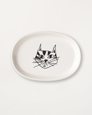 Dish Kitty