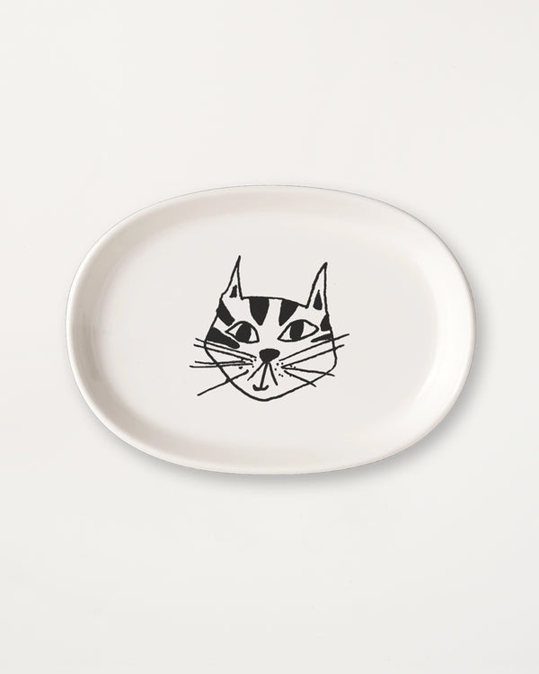 Dish Kitty