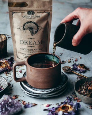 Dream Tea Sleep Support Tonic 2oz