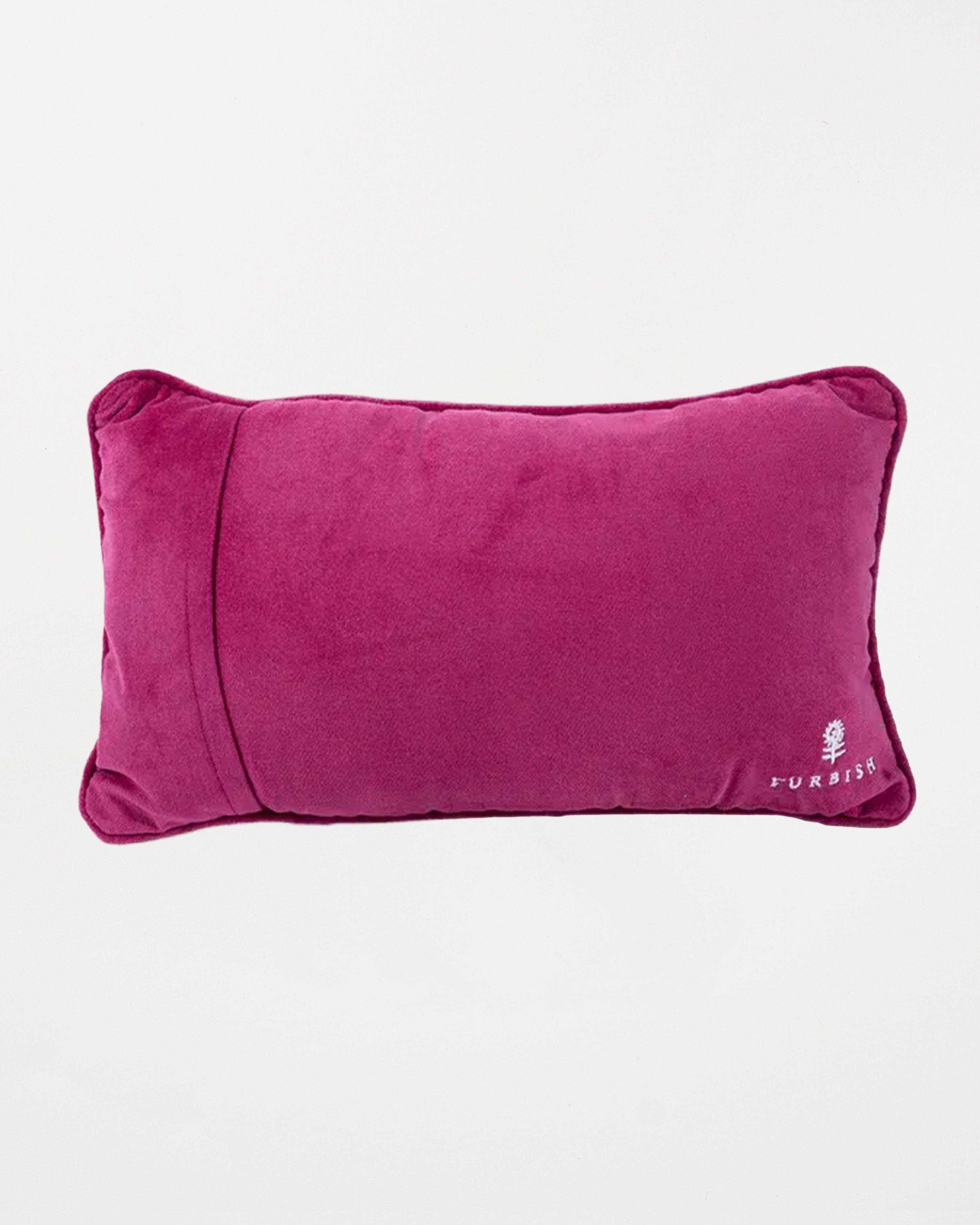 Dressed Like A Daydream Needlepoint Pillow