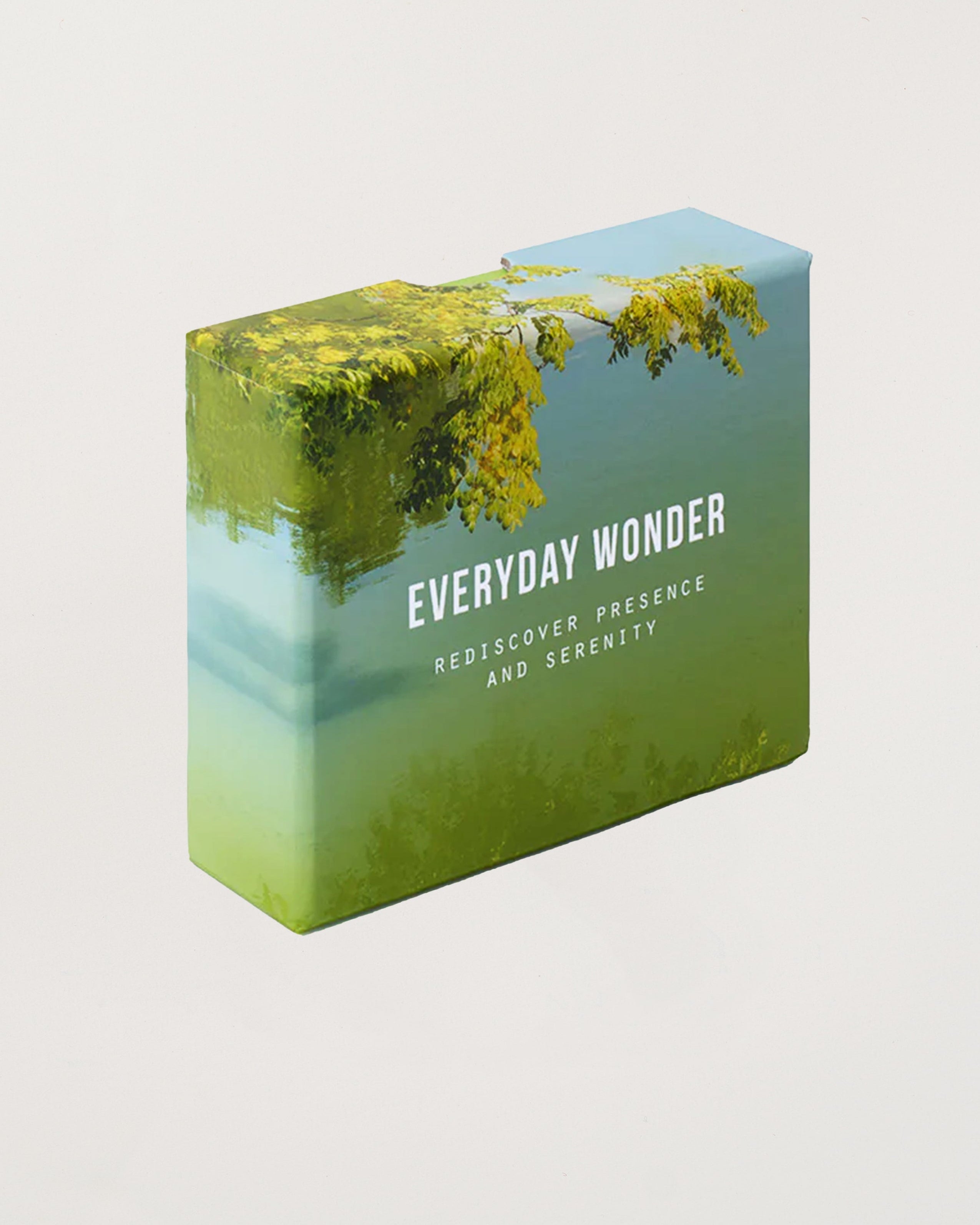 Everyday Wonder