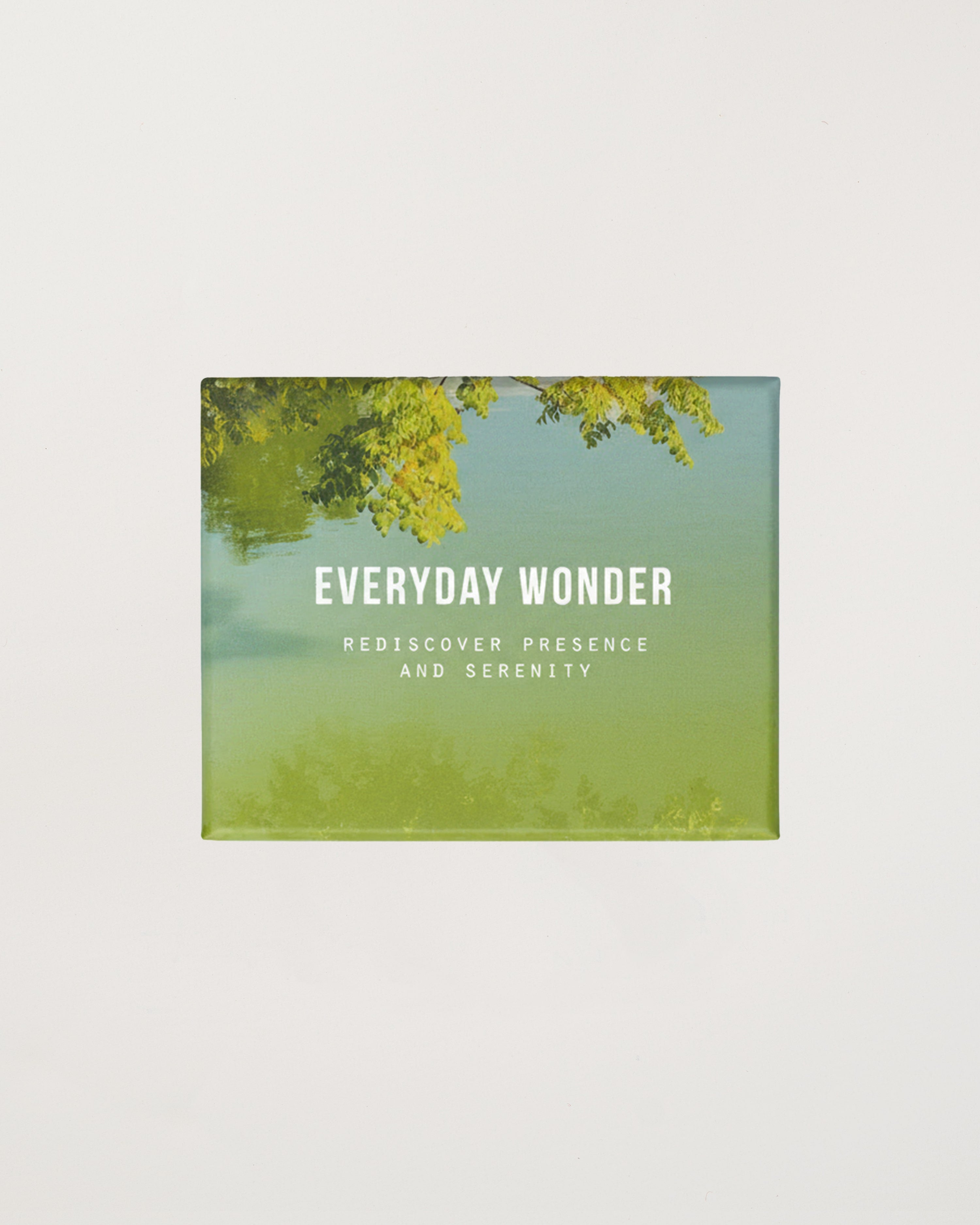 Everyday Wonder