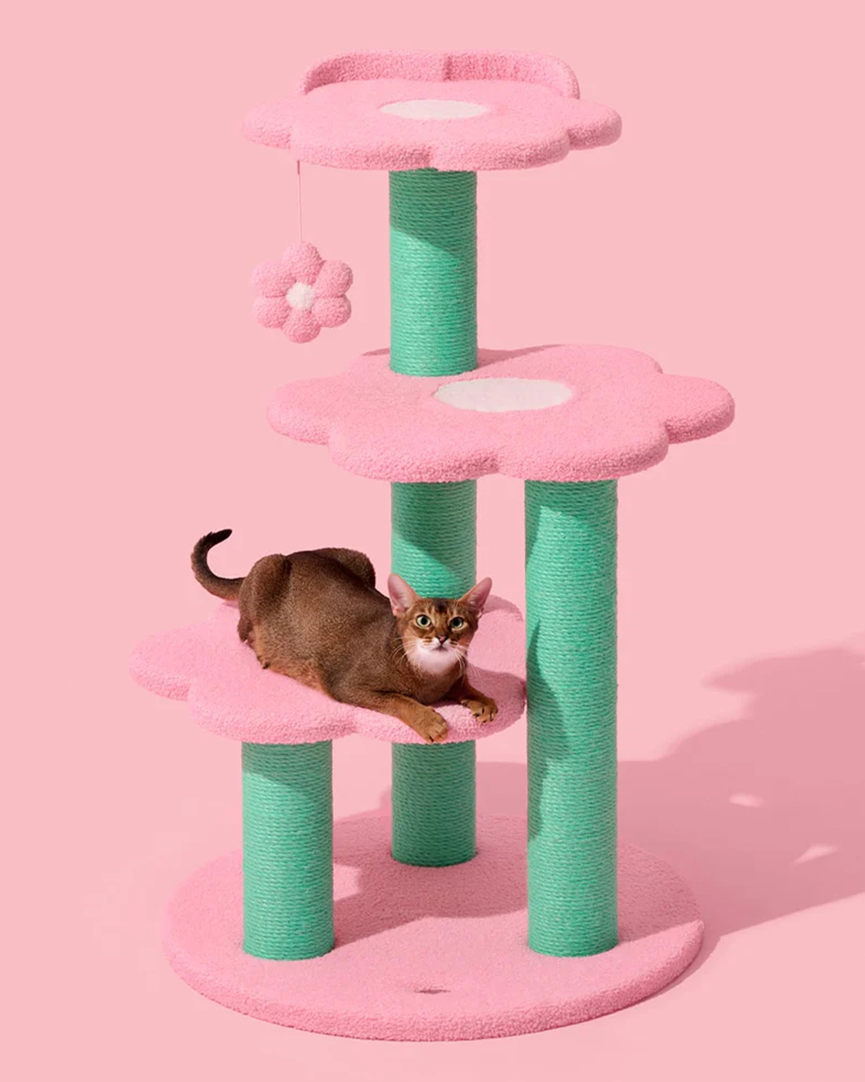 Flora Cat Climber Four Platforms