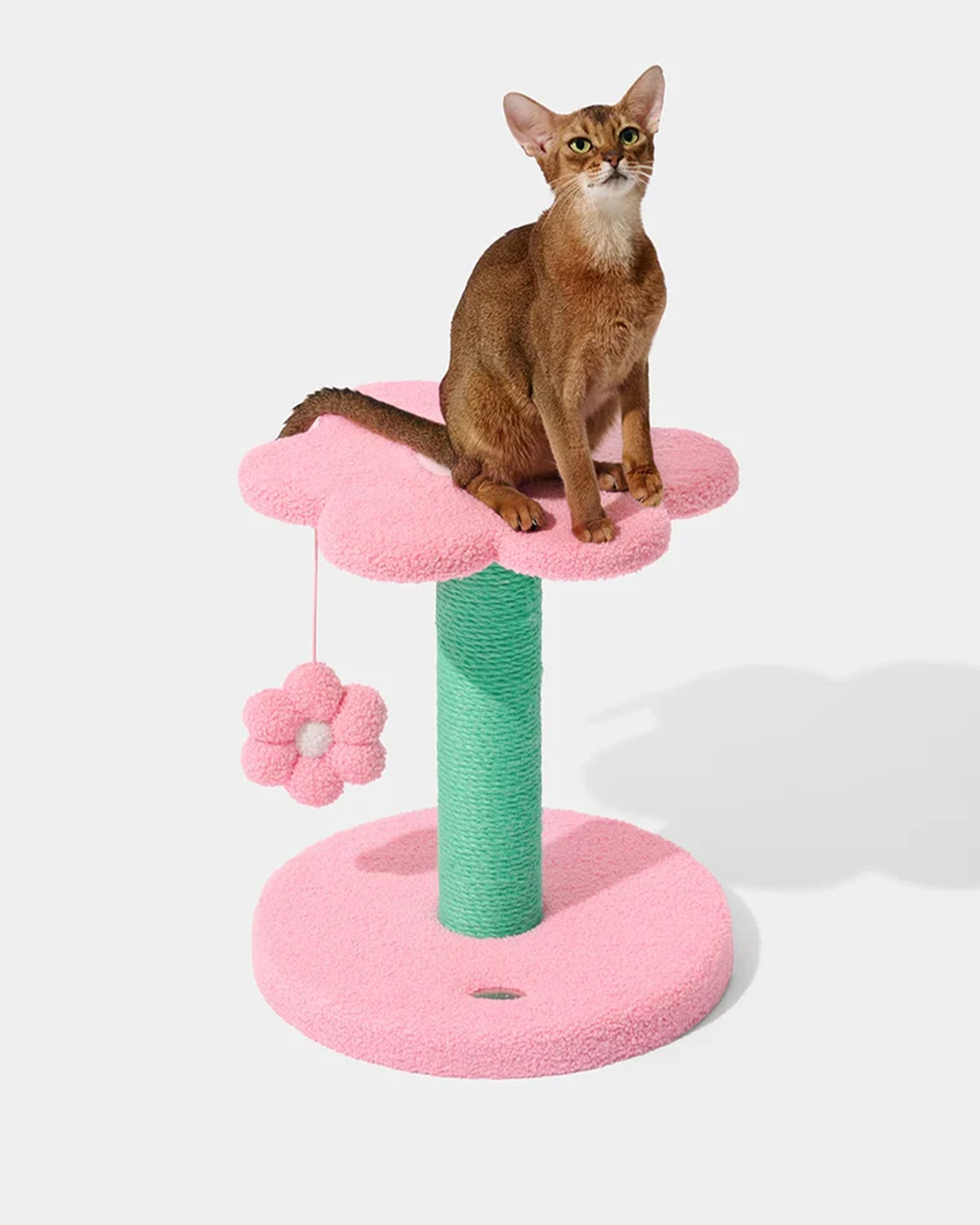 Flora Cat Climber Two Platforms