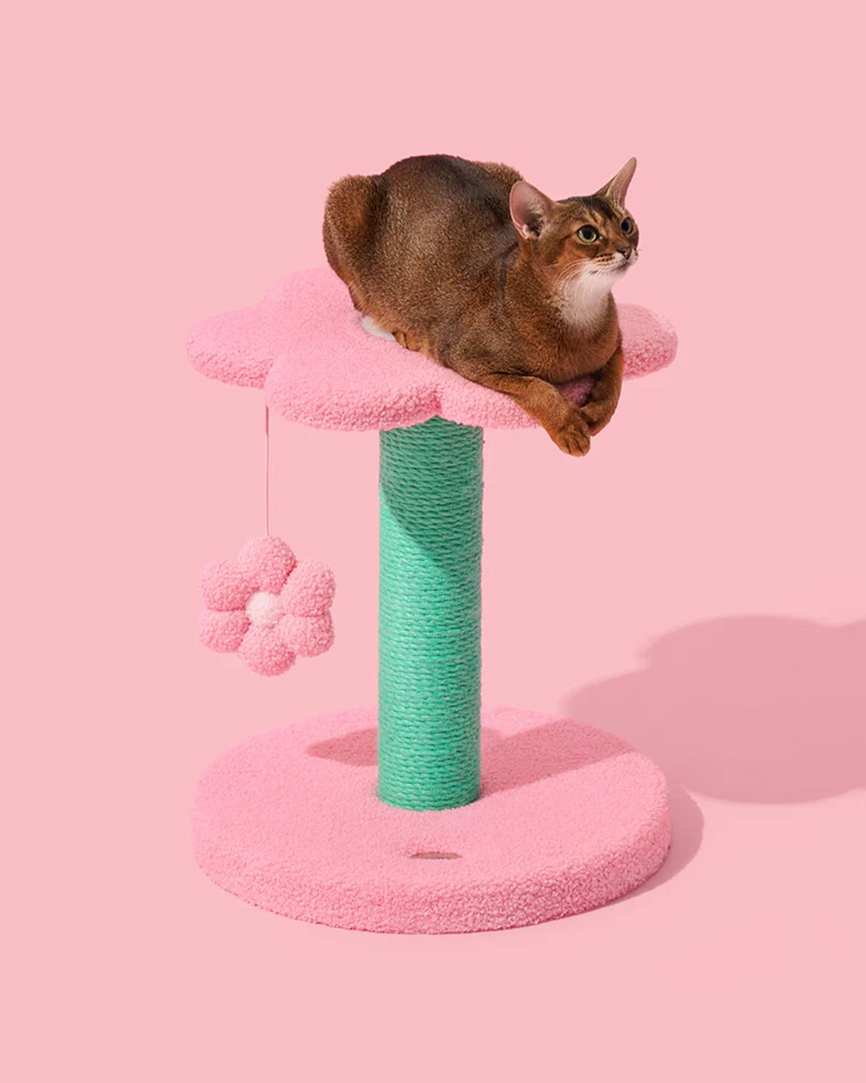 Flora Cat Climber Two Platforms