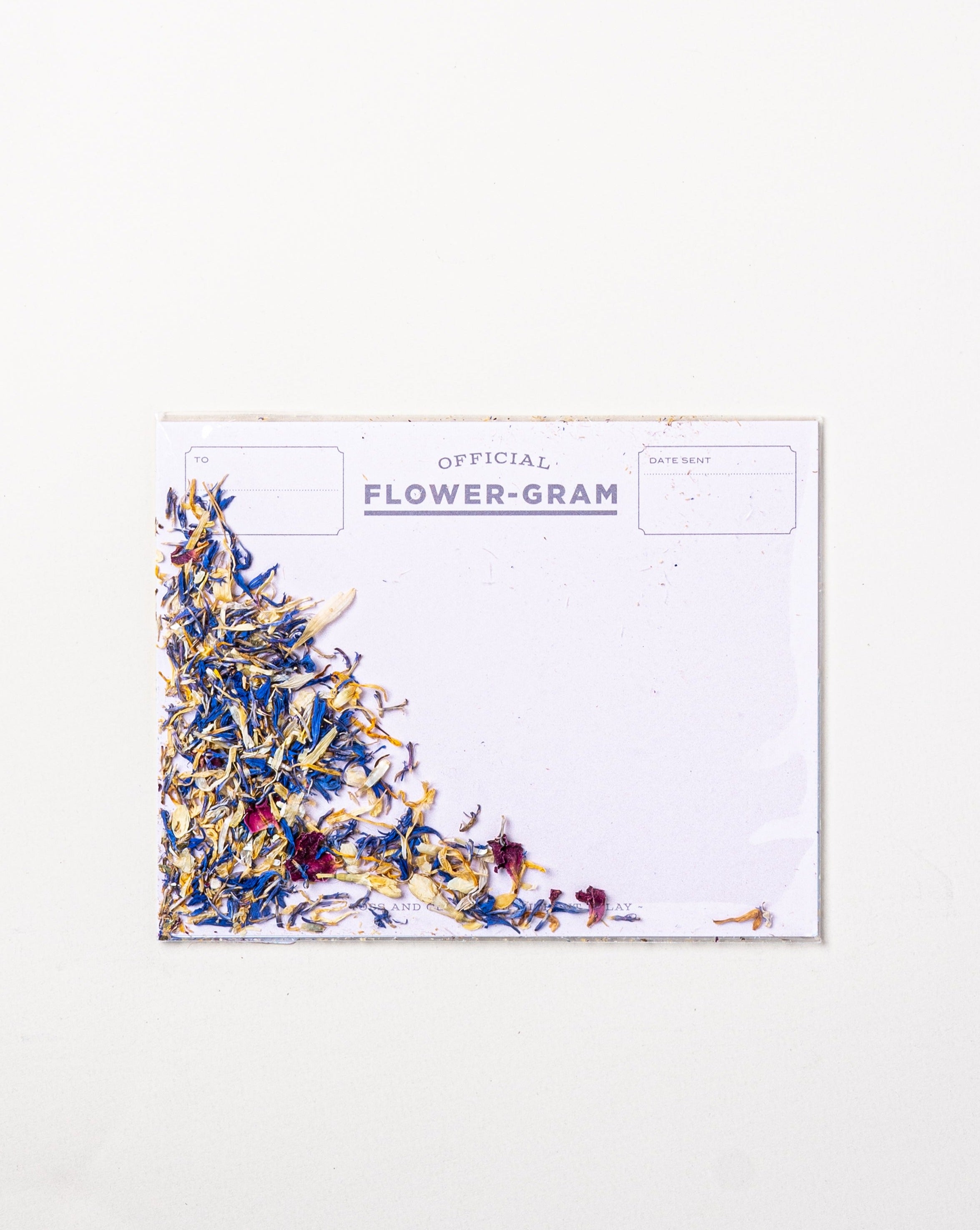 Flowergram Dried Wildflowers