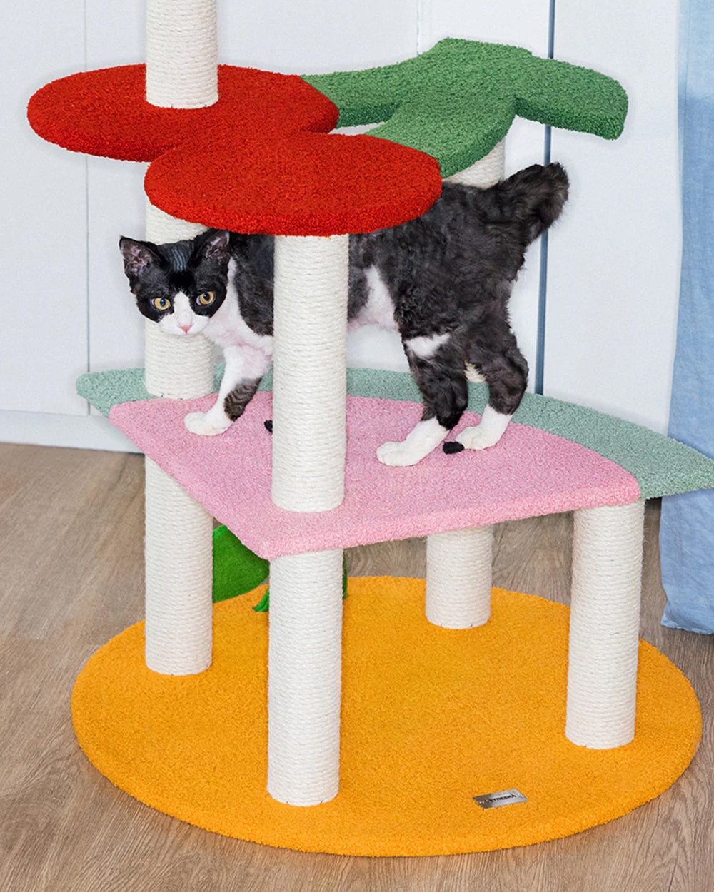 Colorful cat tree with multiple platforms on a white background