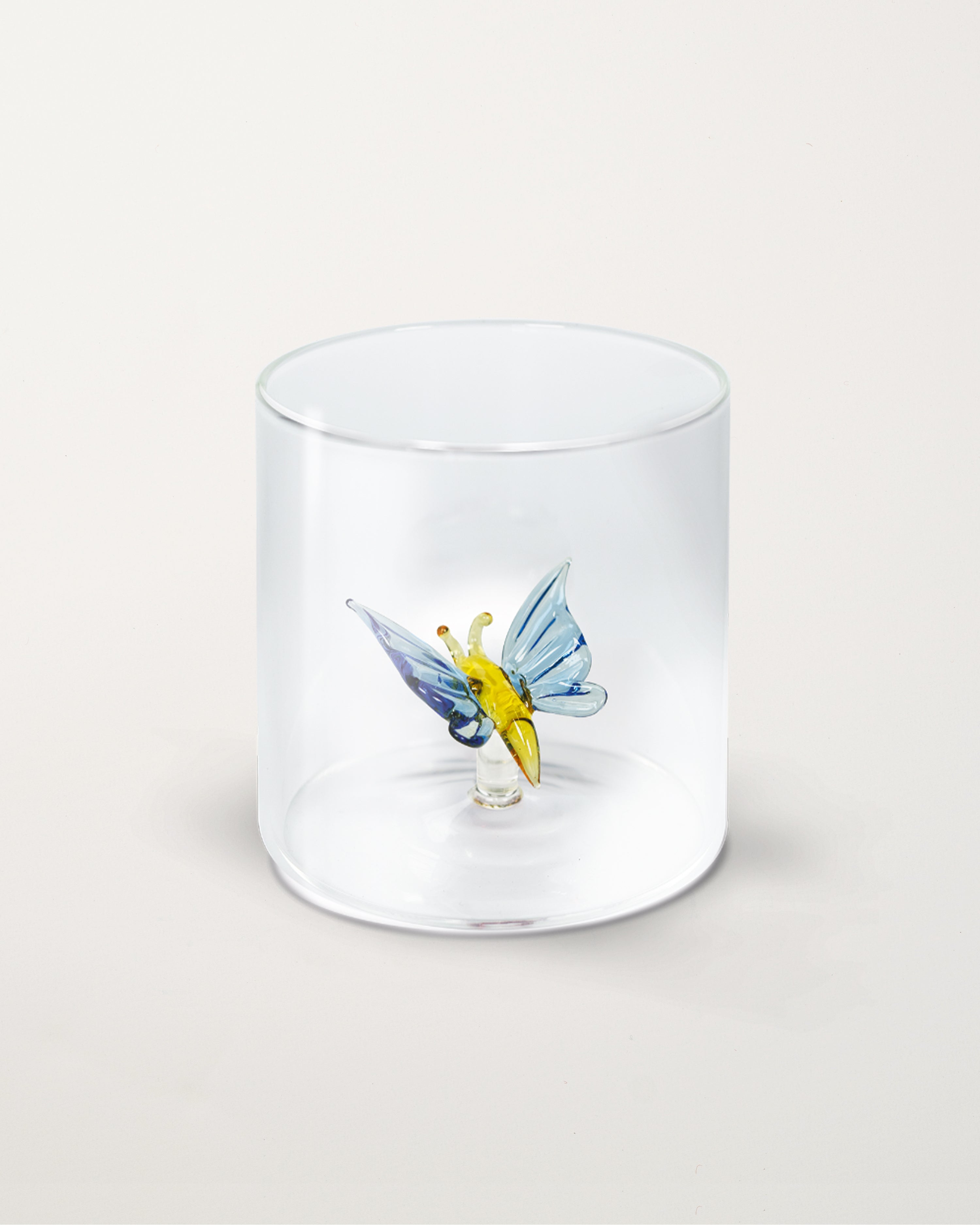 Glass Butterfly