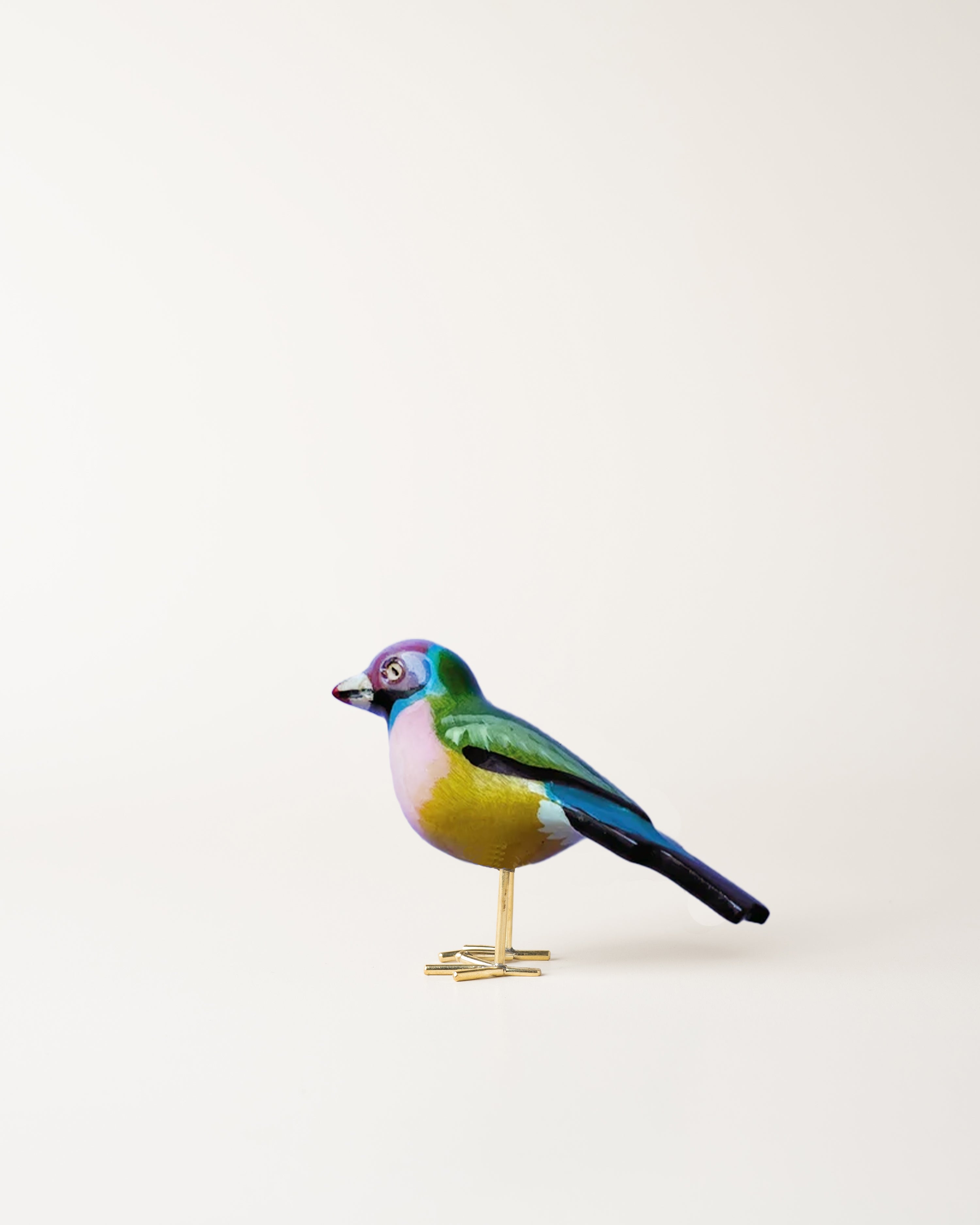 Gouldian Finch